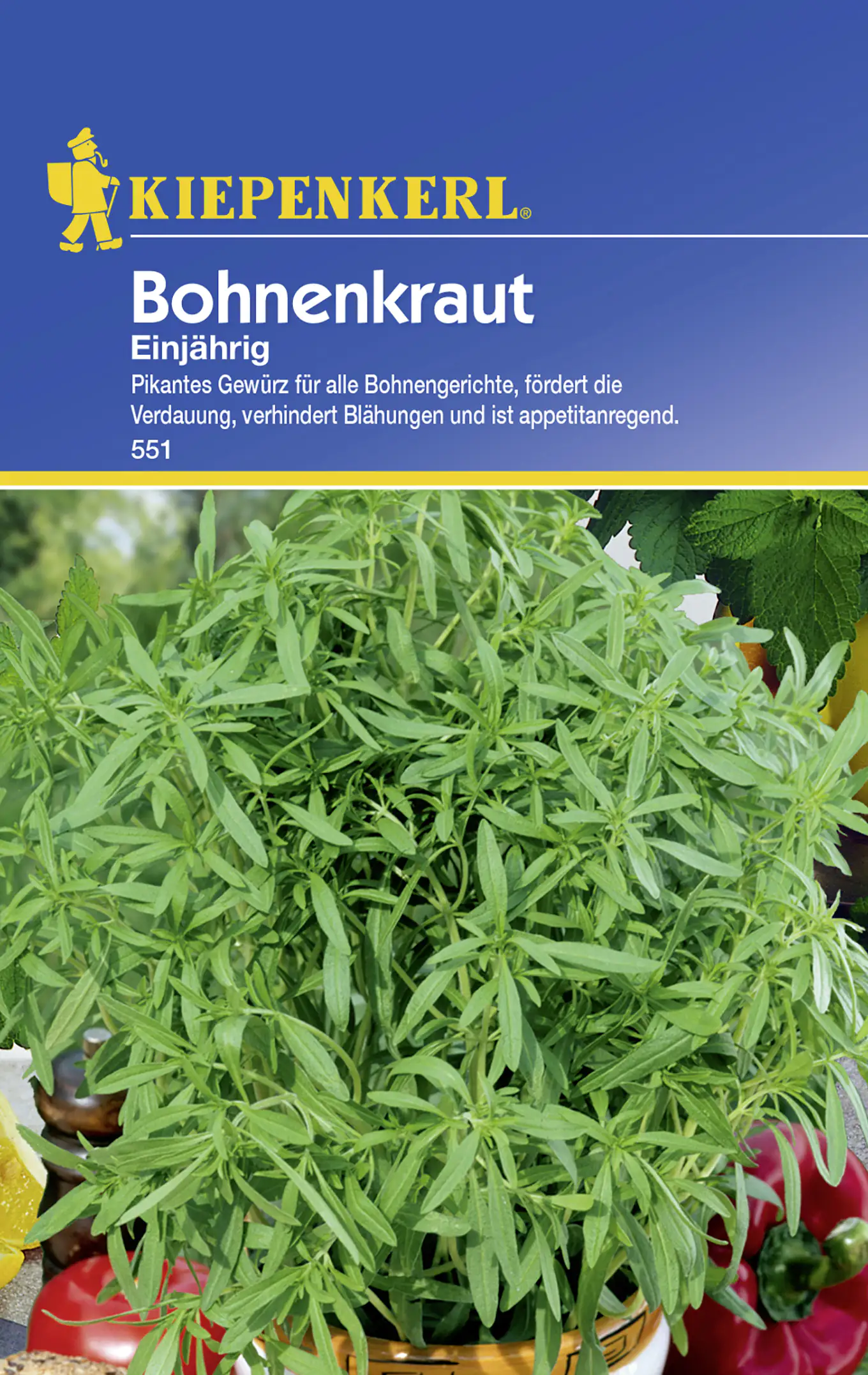 Kiepenkerl Bohnenkraut Bohnenkraut einjährig Satureja hortensis, Inhalt: ca. 200 Pflanzen Kiepenkerl Bohnenkraut Bohnenkraut einjährig Satureja hortensis, Inhalt: ca. 200 Pflanzen