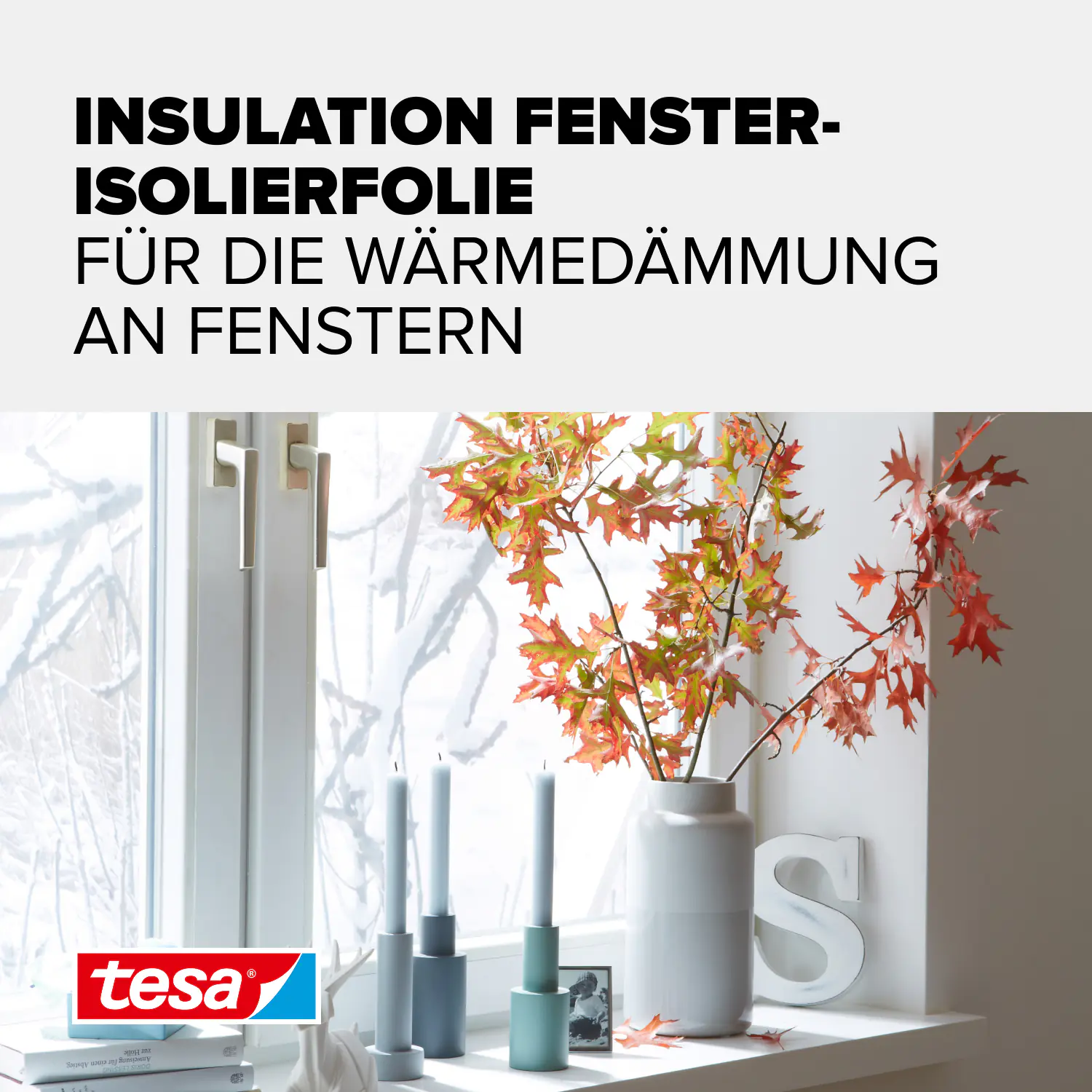 tesa Moll Fenster-IsolierfolieThermo Cover 4 x 1,5 m