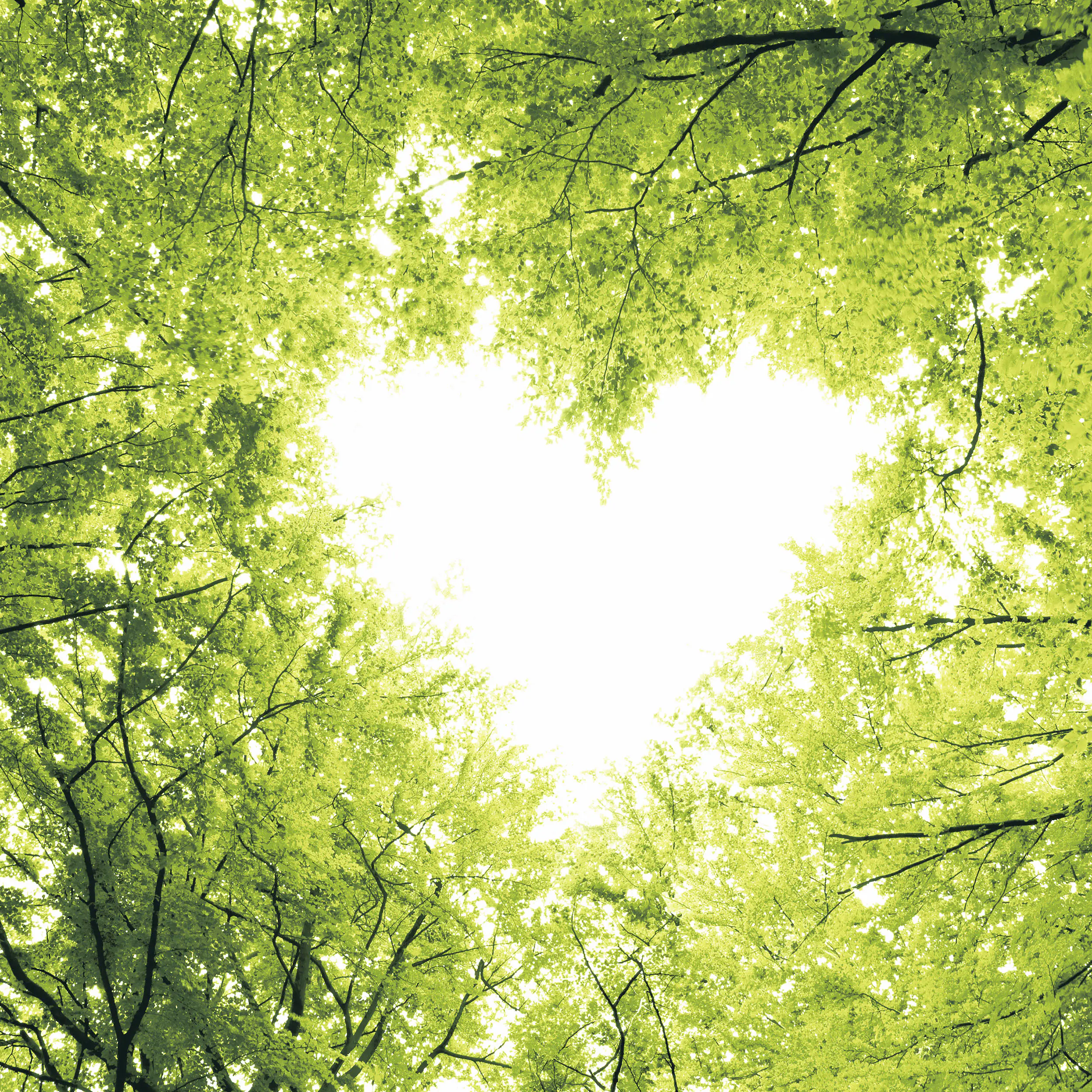 Duni Servietten Nature Love 24 x 24 cm - 20er Pack