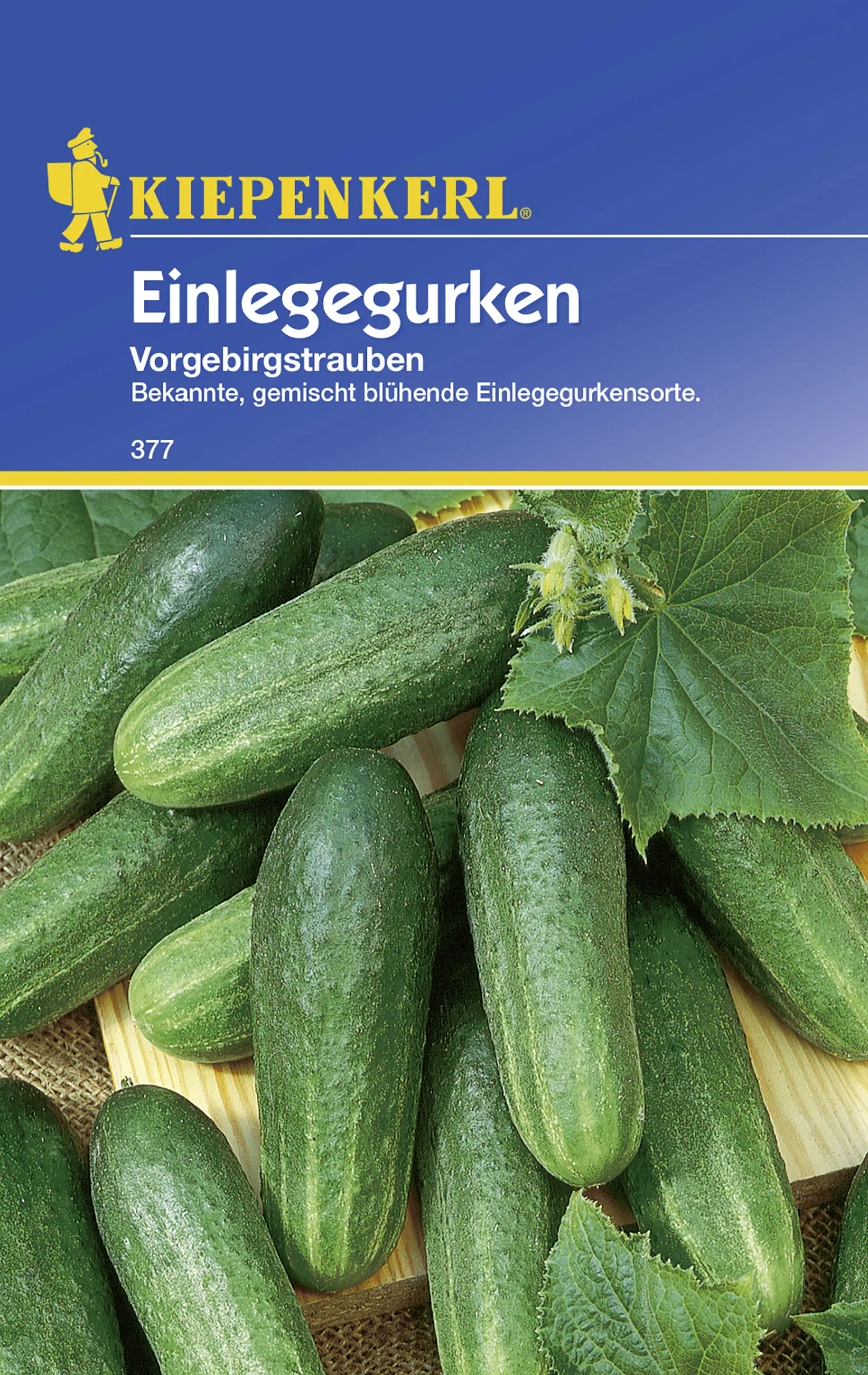 Kiepenkerl Einlegegurke Vorgebirgstrauben Cucumis sativus, Inhalt: ca. 80 Pflanzen