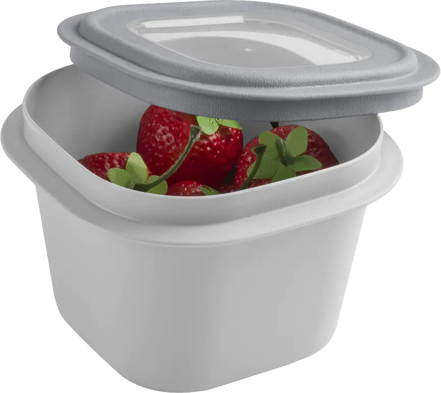 Sunware Frischhaltedose Sigma Home 0,8 L grau Sunware Frischhaltedose Sigma Home 0,8 L grau