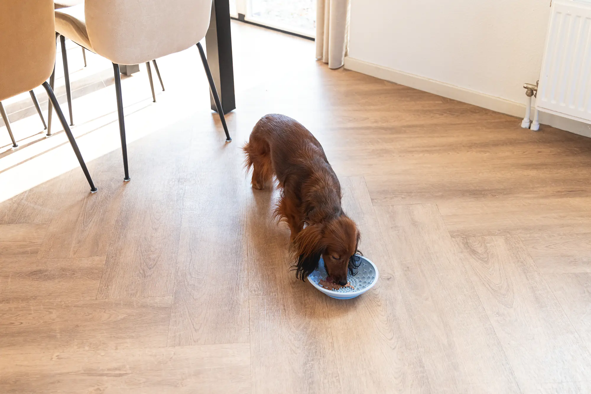 Beeztees Hundeleckschale Silikon Ø 19 cm blau