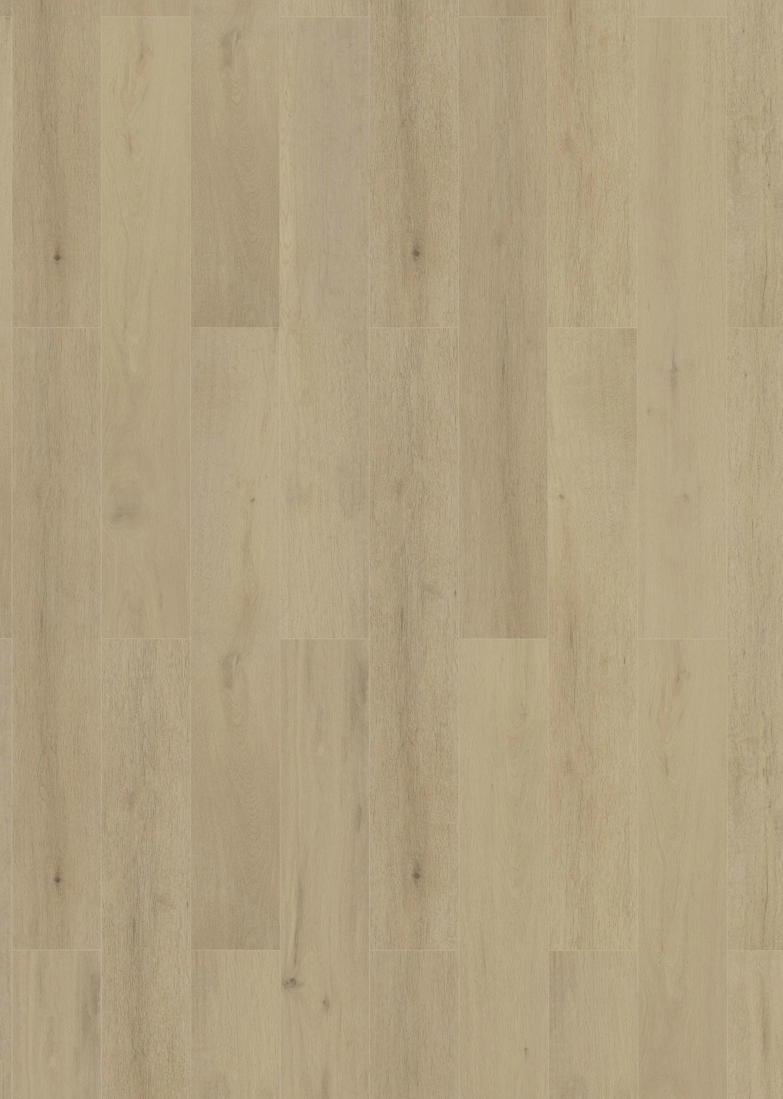 Classen Vinylboden GreenVinyl Traubeneiche Landhausdiele Classen Vinylboden GreenVinyl Traubeneiche Landhausdiele