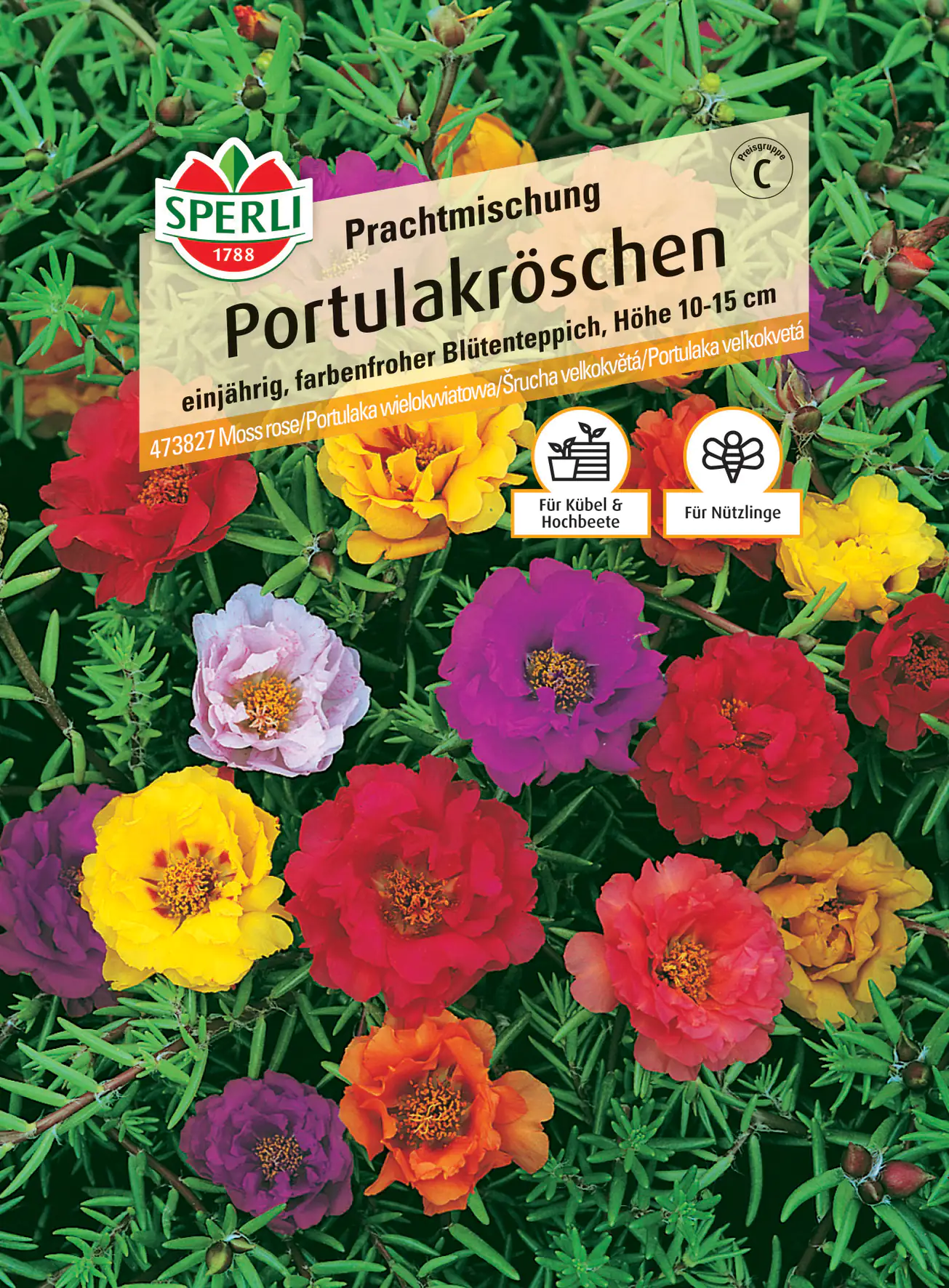 Sperli Portulakröschen Prachtmischung Sperli Portulakröschen Prachtmischung
