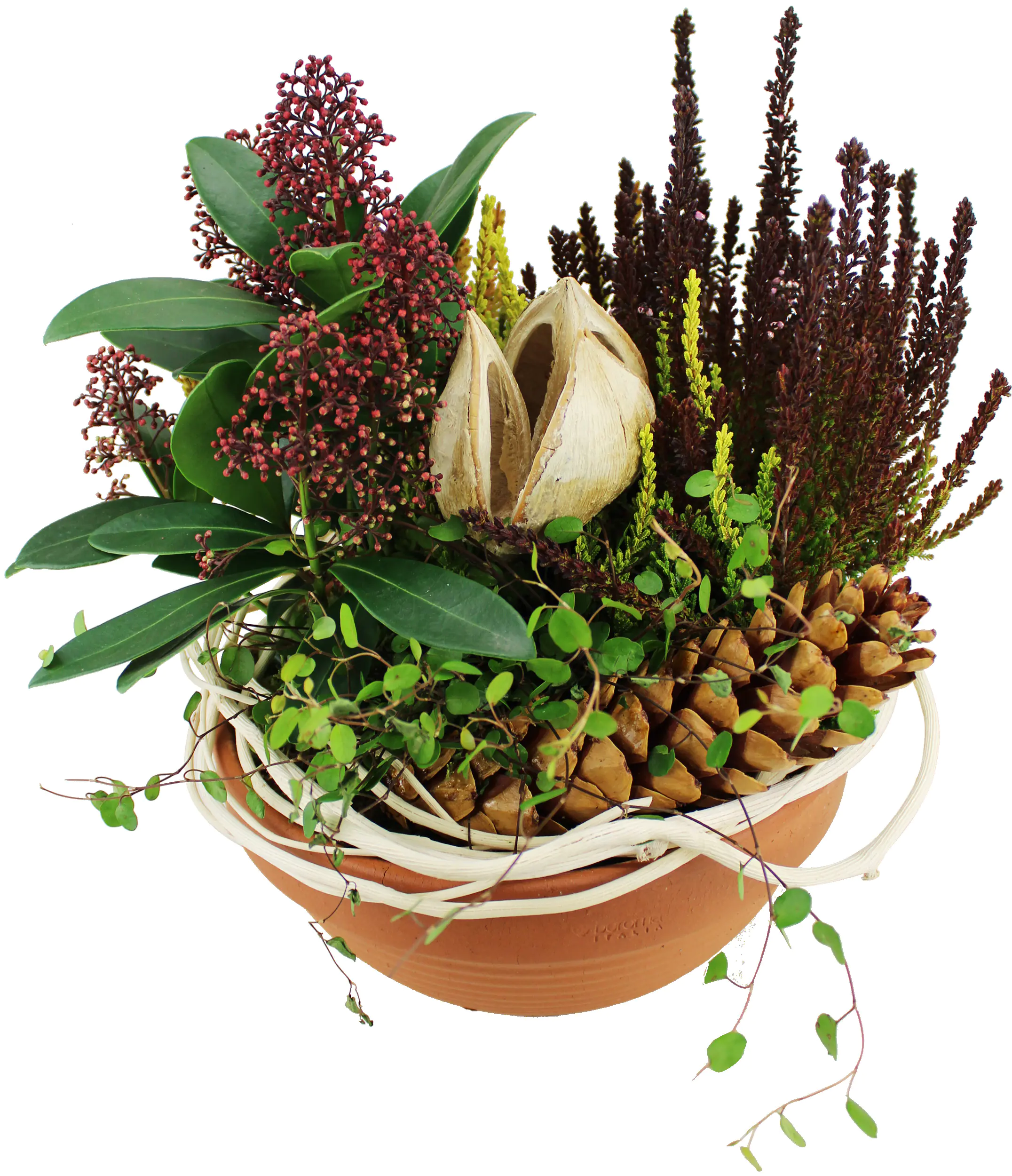 Arrangement Outdoor Nr. 46 Tonschale Nature