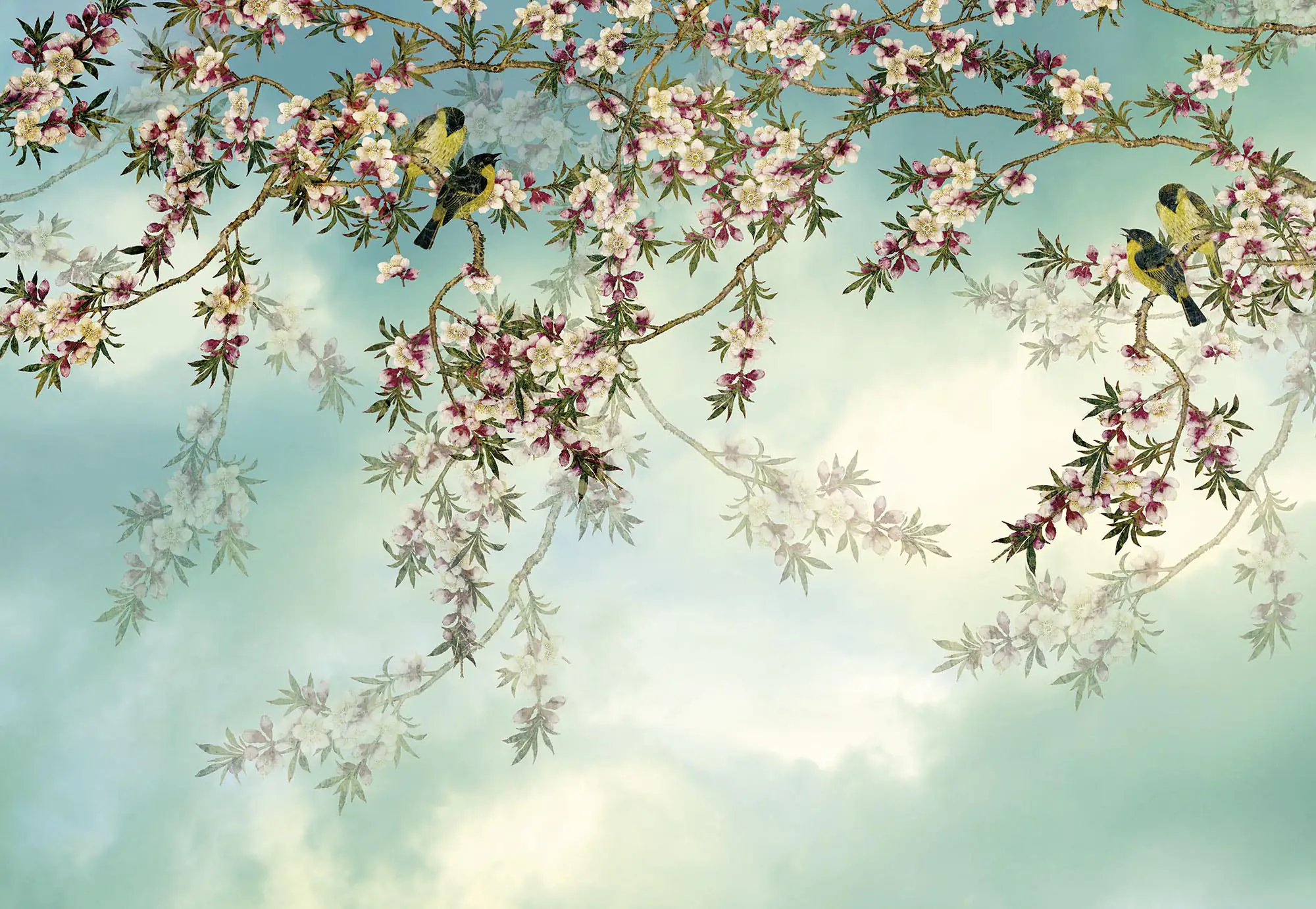 Komar Fototapete Sakura 368 x 254 cm  Komar Fototapete Sakura 368 x 254 cm