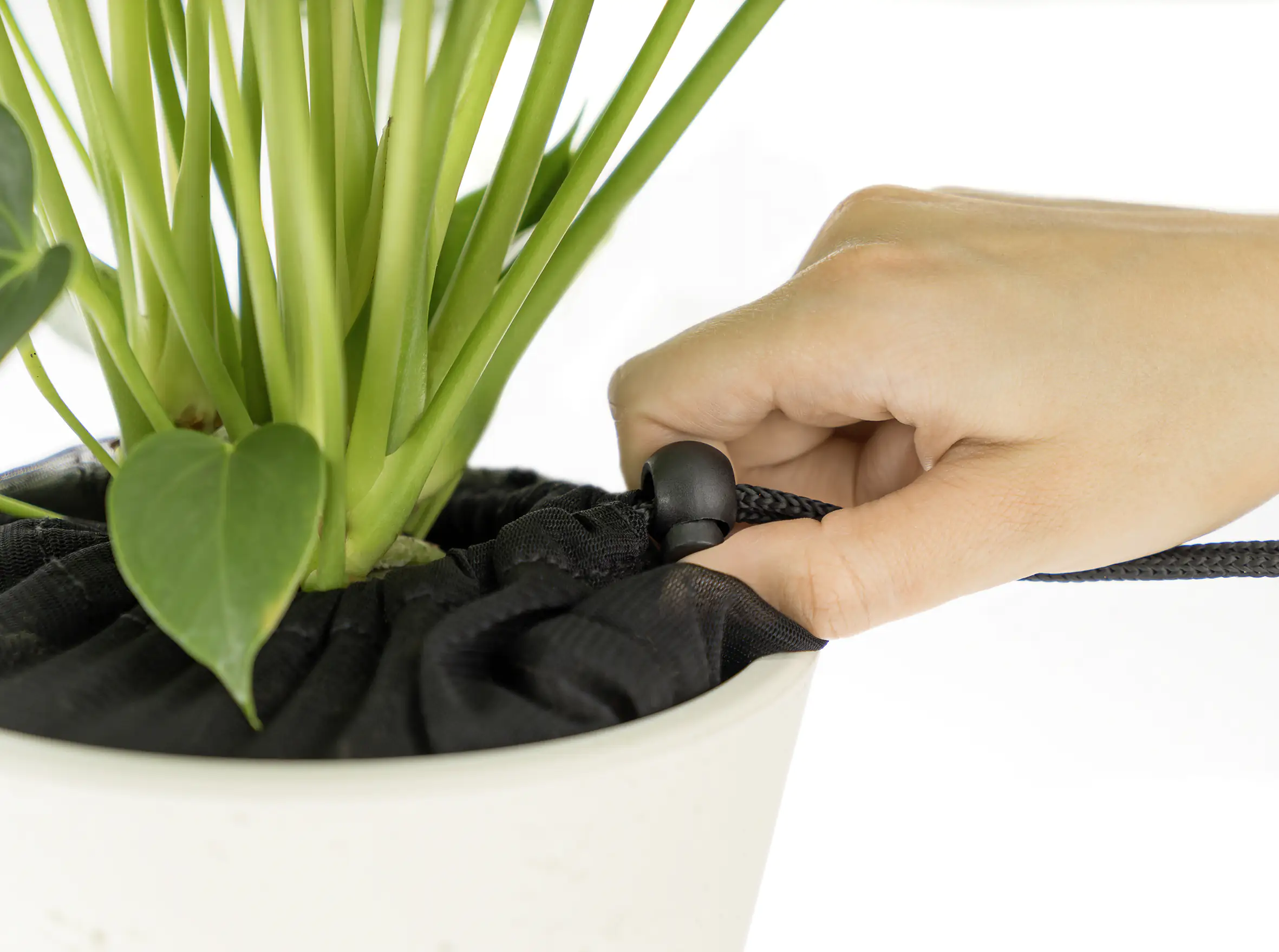 4013283830116_2067879 Reer Pflanzenschutznetz Ø 20 cm