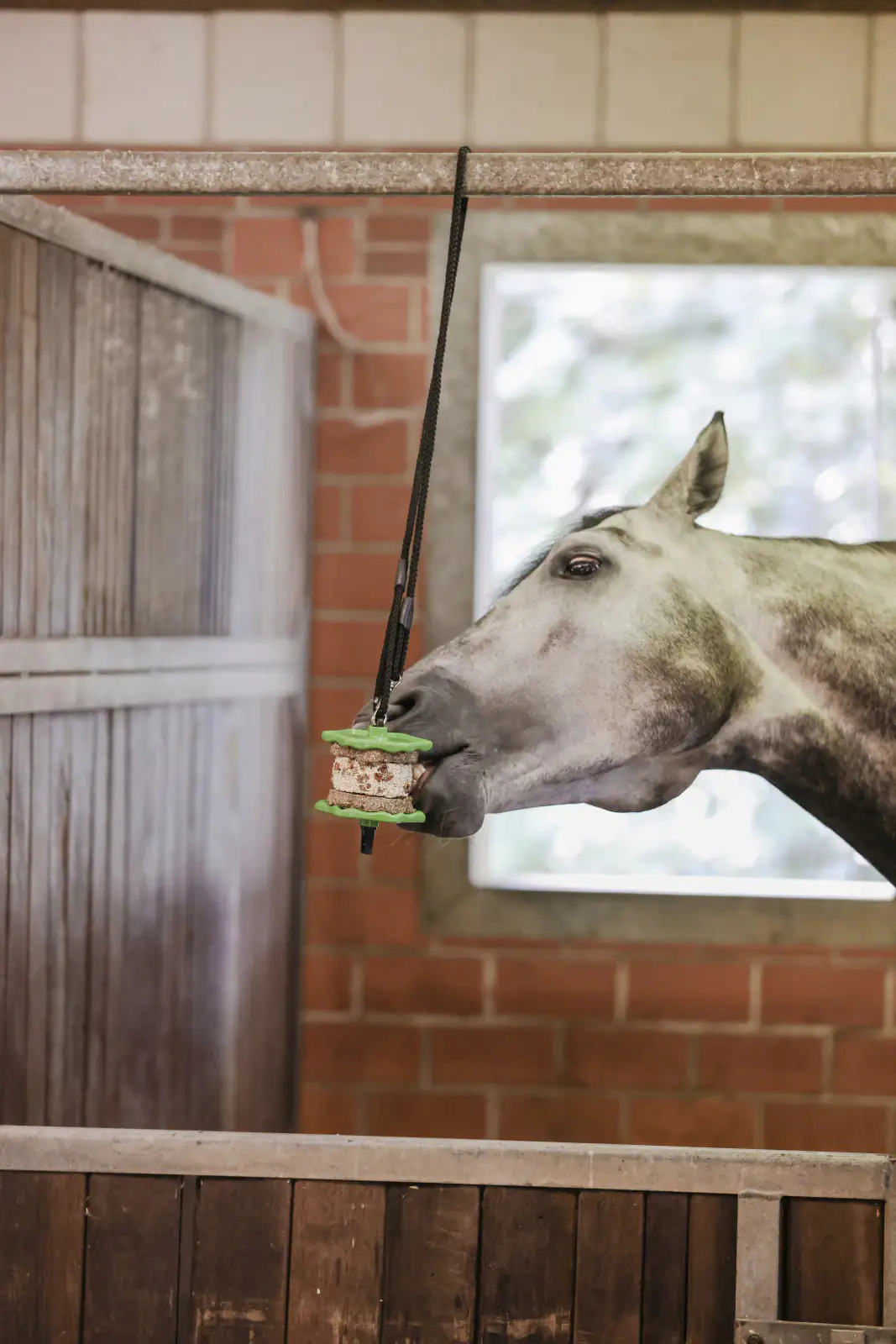 Kerbl Delizia Pferdeleckerli Sandwich Karotte 195 g