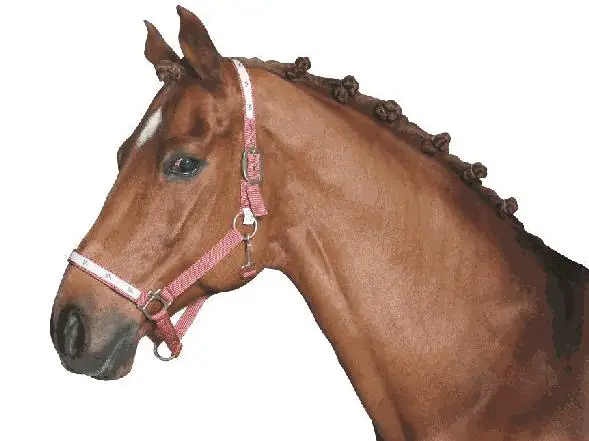 Kerbl Pferde-Mähnengummi