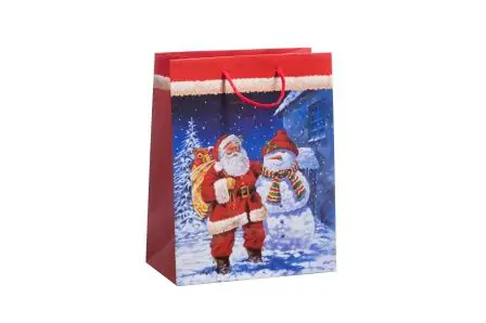 Duni Geschenktüte Christmas Kitty blau/rot 17,8 x 22,9 cm