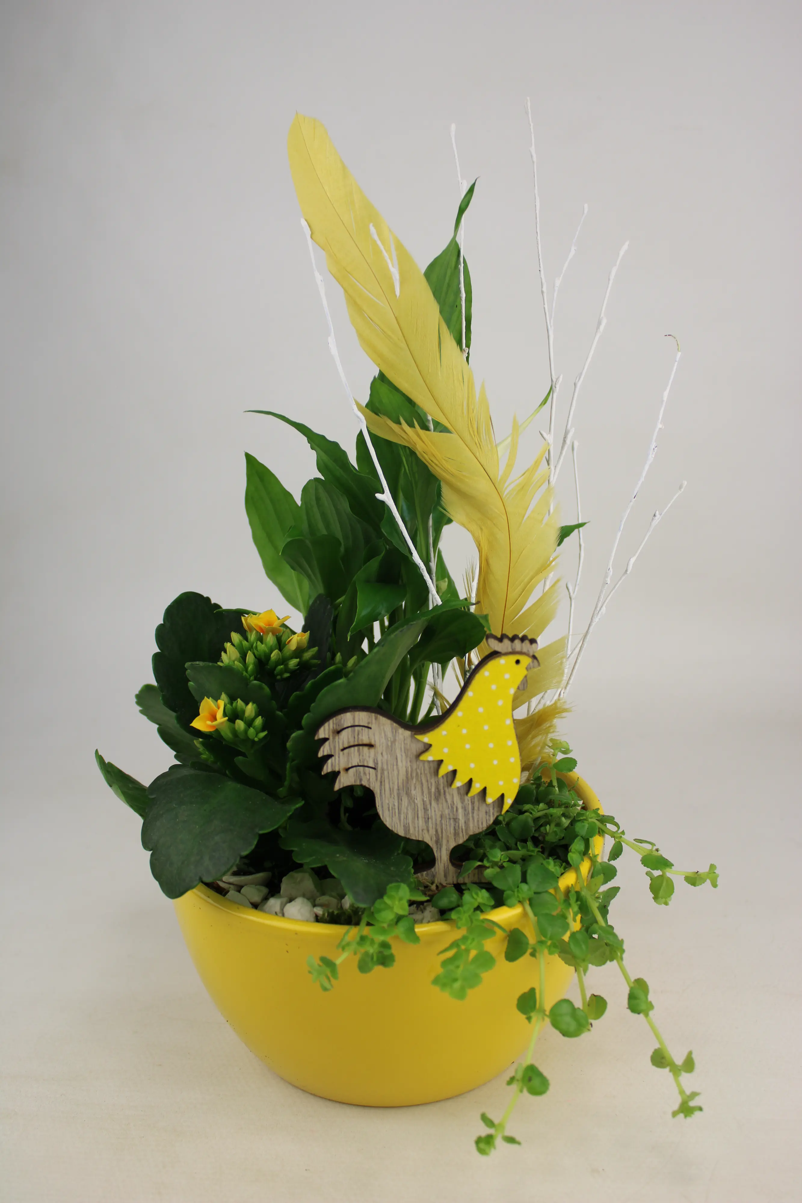 Arrangement Indoor Basicschale Pflanzen-Mix 15 cm