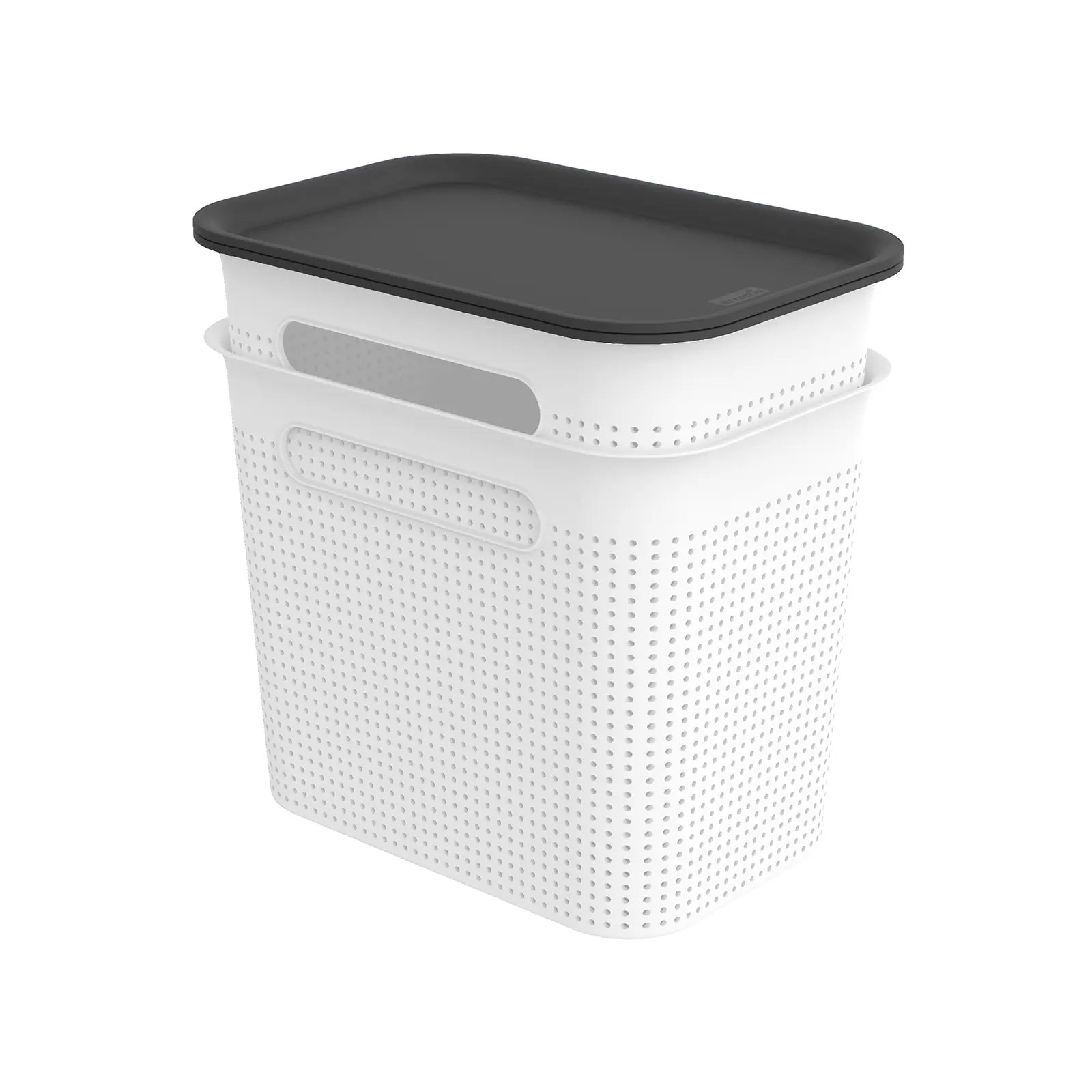 Rotho Aufbewahrungsbox Brisen mit Deckel 26,6 x 18,5 cm 7 L mistletoe weiß 2er Set