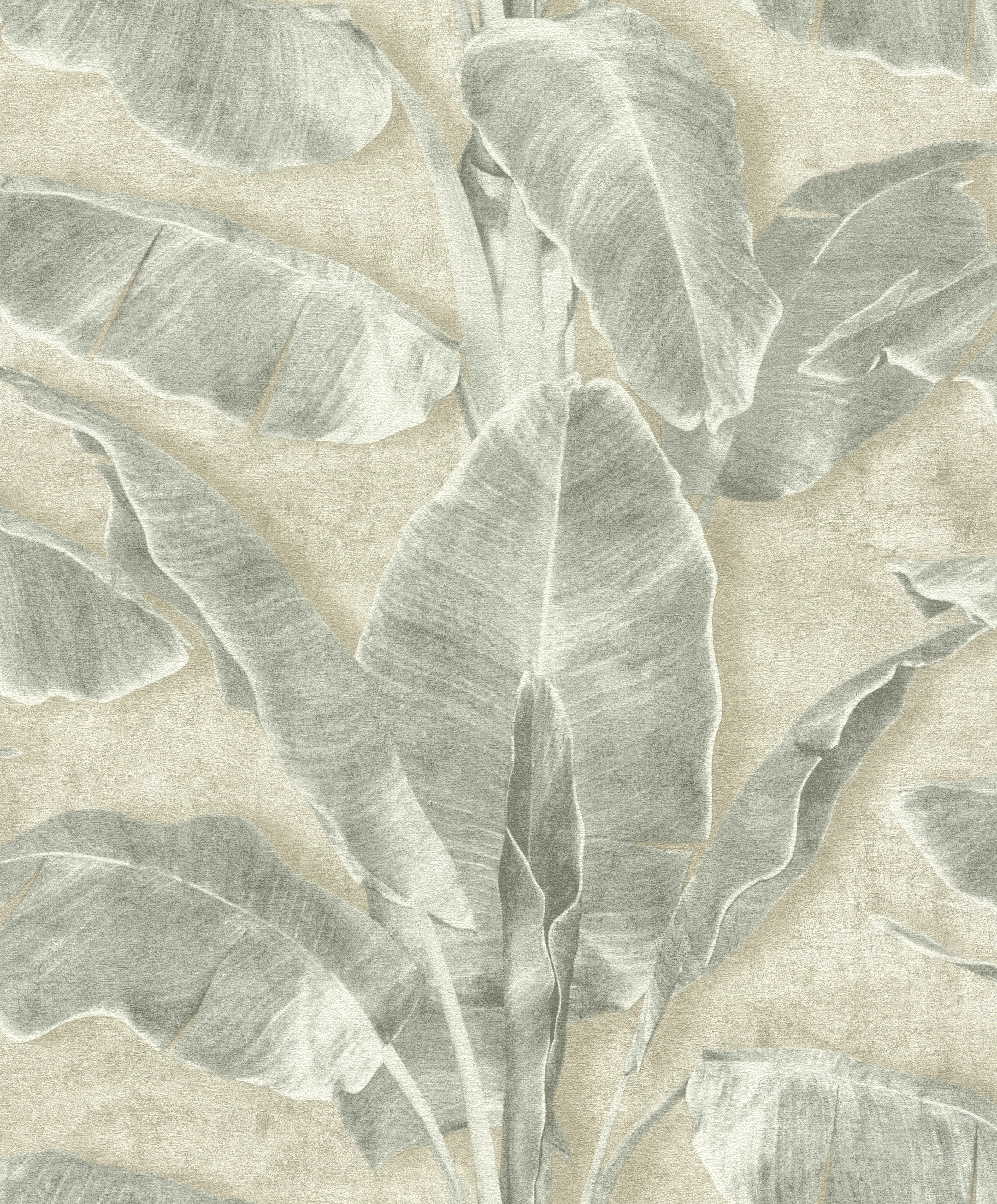 Tesa x Rasch selbstklebende Tapete Cuba Blatt grün beige 6 x 0,53 m Tesa x Rasch selbstklebende Tapete Cuba Blatt grün beige 6 x 0,53 m