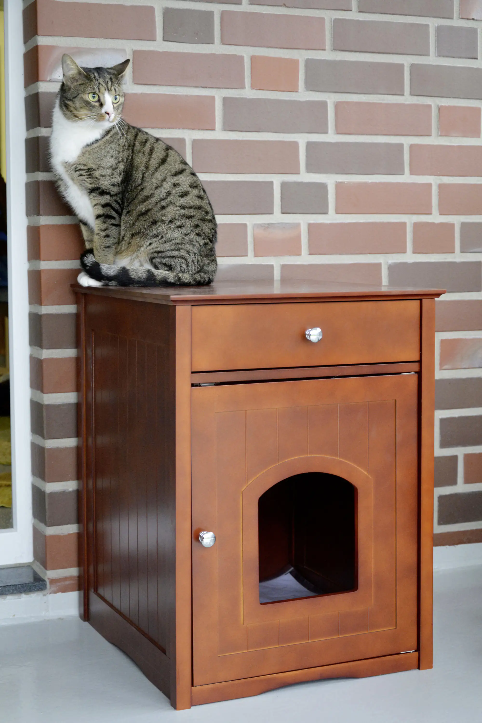Dobar Design Katzenschrank "Mohrle" 52 x 48 x 63 cm Dobar Design Katzenschrank "Mohrle" 52 x 48 x 63 cm