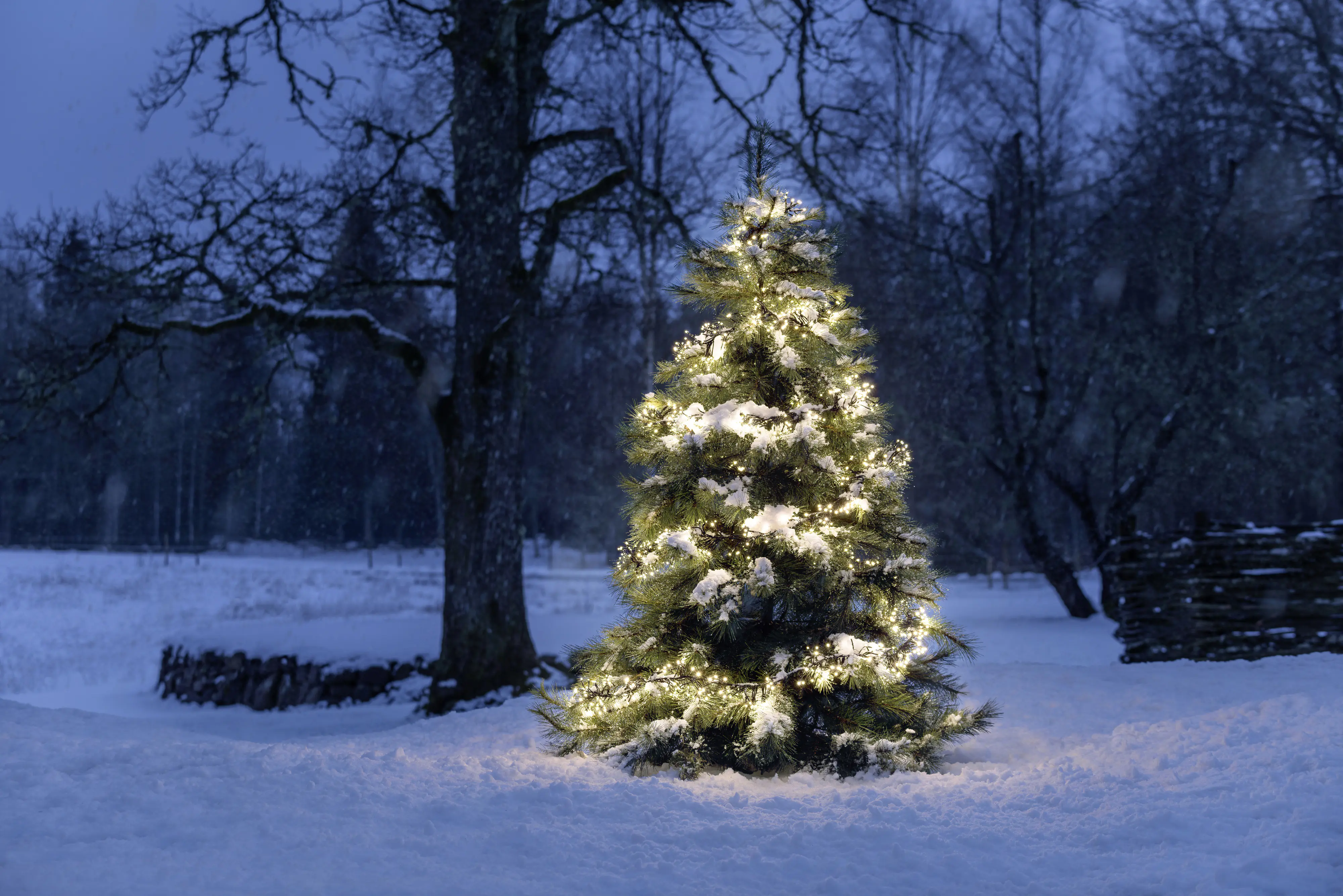 Konstsmide Micro LED Büschellichterkette Cluster Außen 576 warmweiße Dioden 9,3 m 