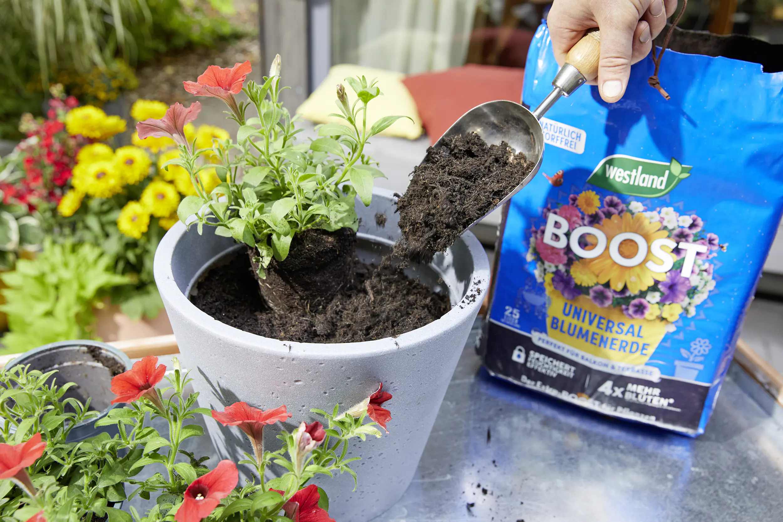 Westland Boost Universalerde 25 L torffrei