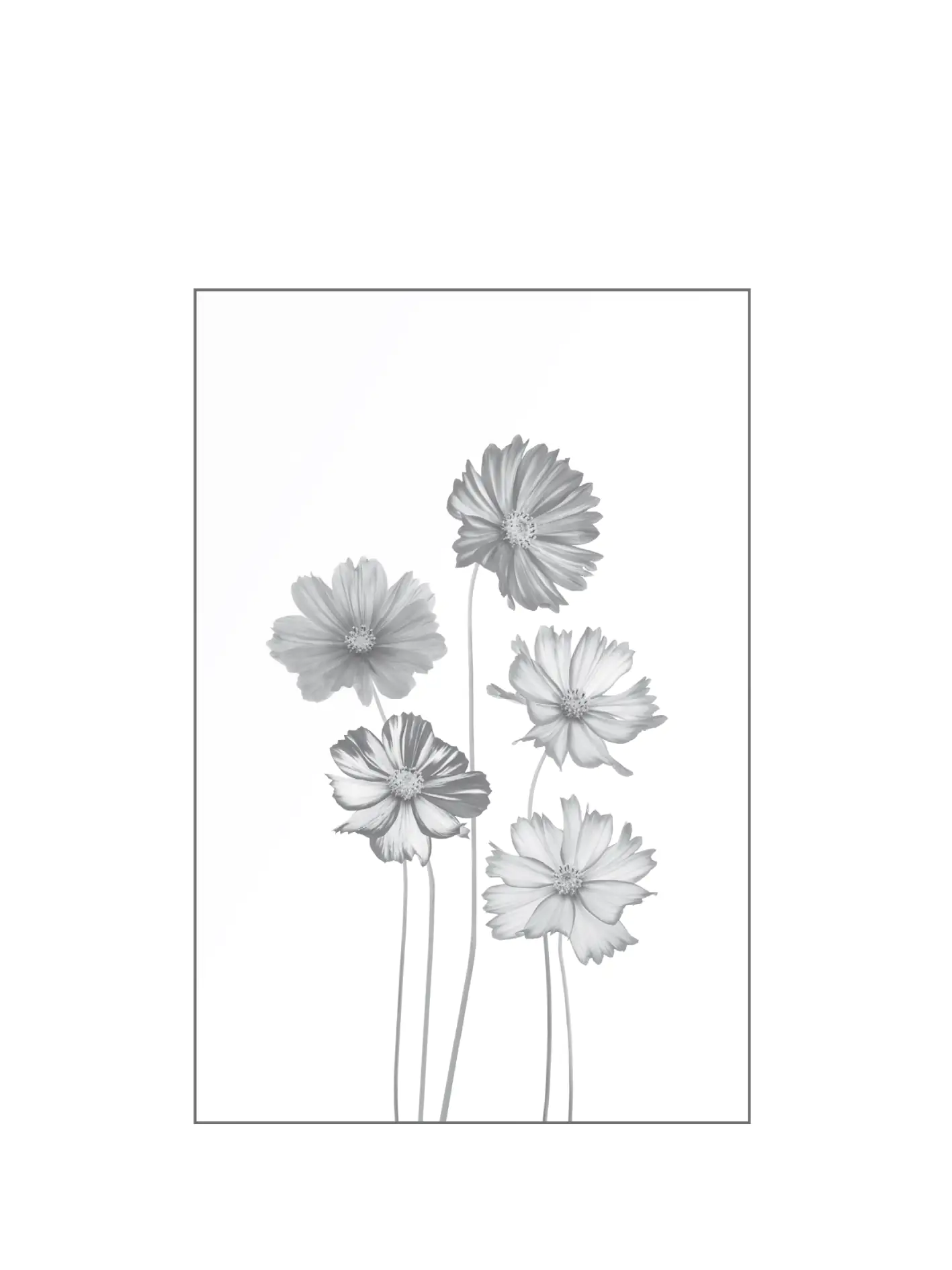 Ambiente Glaszaun Dekor 93 120 x 180 cm gehärtetes 8 mm Glas