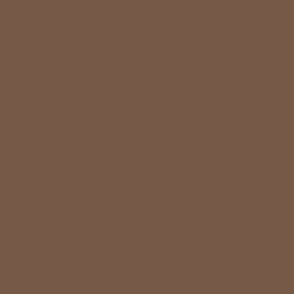 Wilsonart Sealant Dichtmittel Chestnut 290 ml
