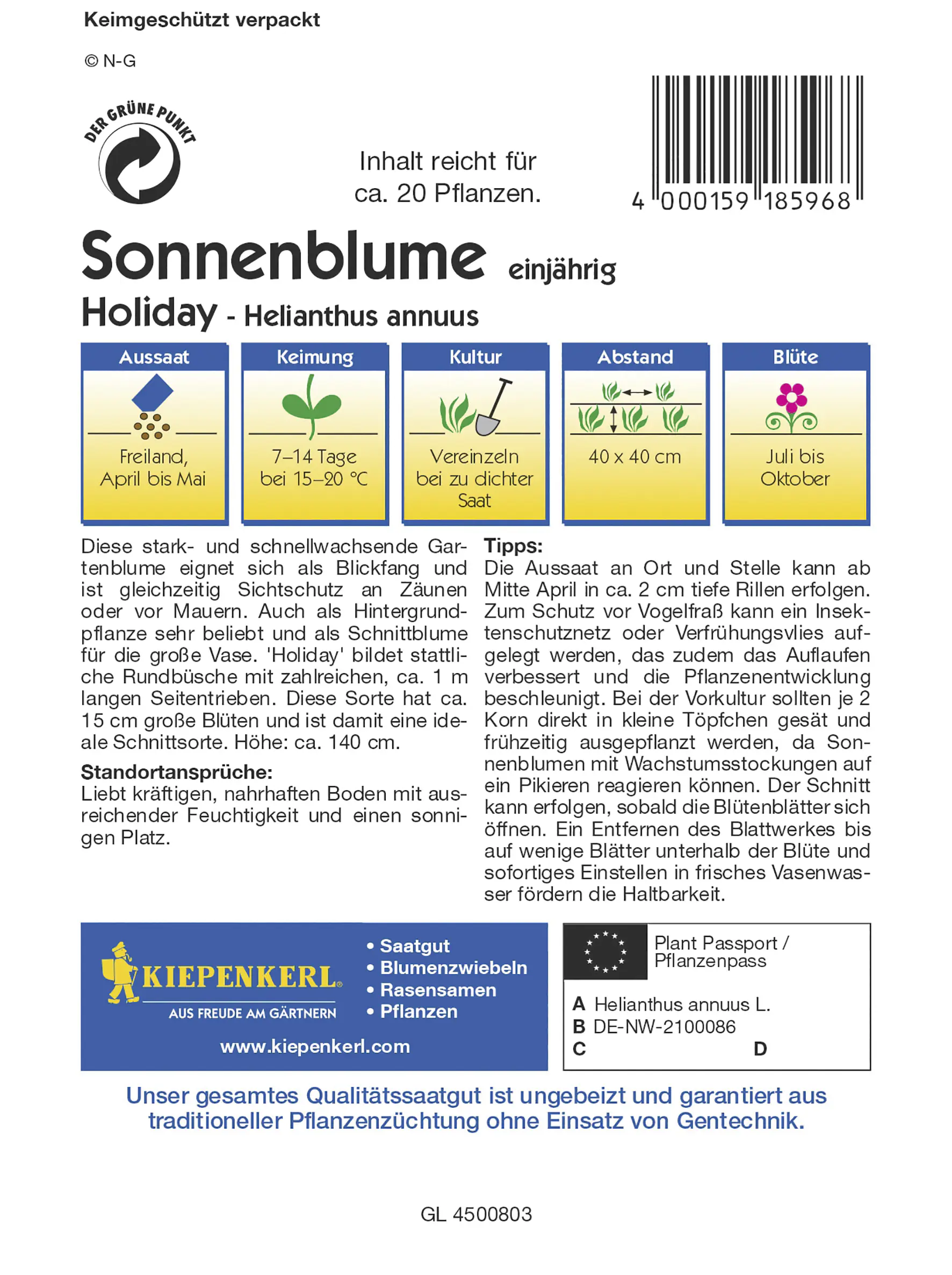 Kiepenkerl Sonnenblume Holiday Inhalt reicht für ca. 20 Pflanzen