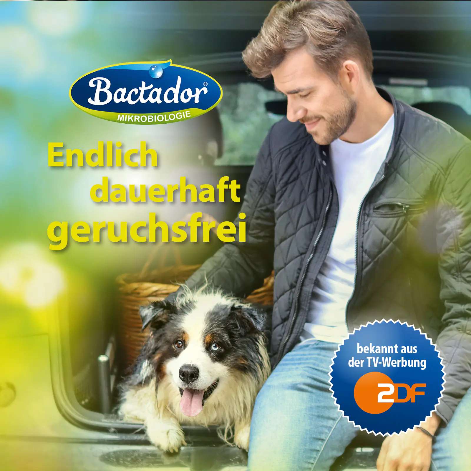Bactador Katzentoiletten Geruchsentferner 500 ml