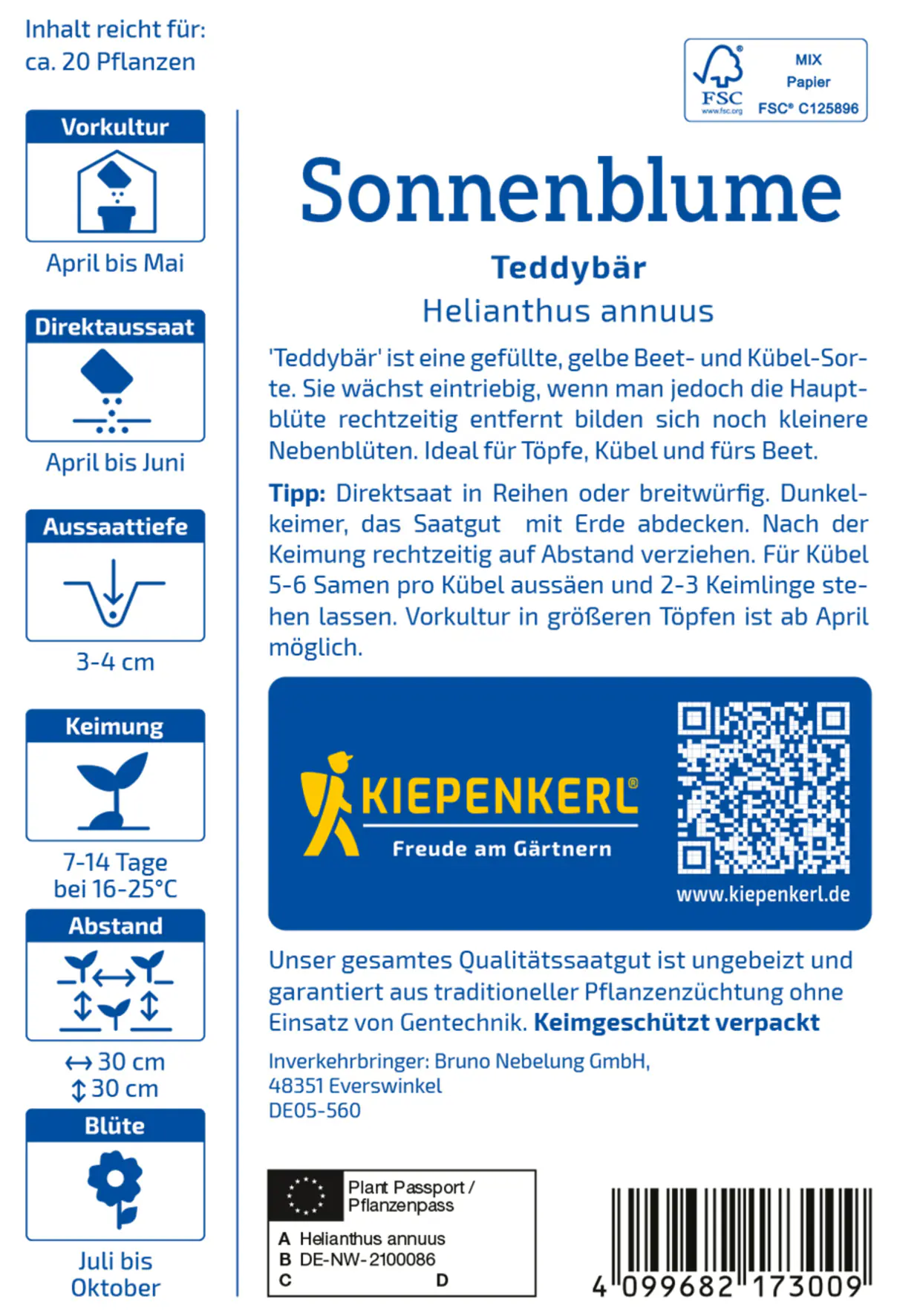 Kiepenkerl Blumensamen Sonnenblumen Teddybär für ca. 20 Pflanzen