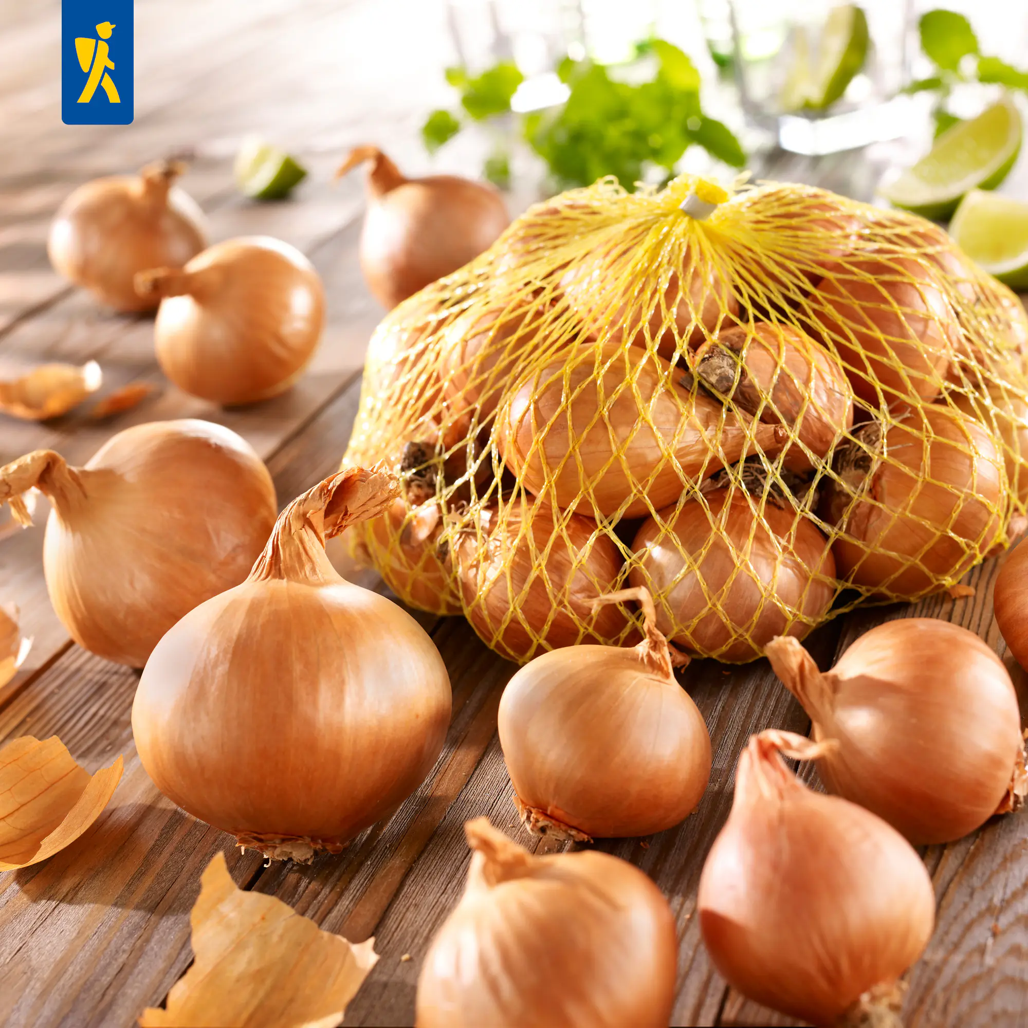 Kiepenkerl Steckzwiebel Gelbe Schalotten Gr.7/14, 400 g