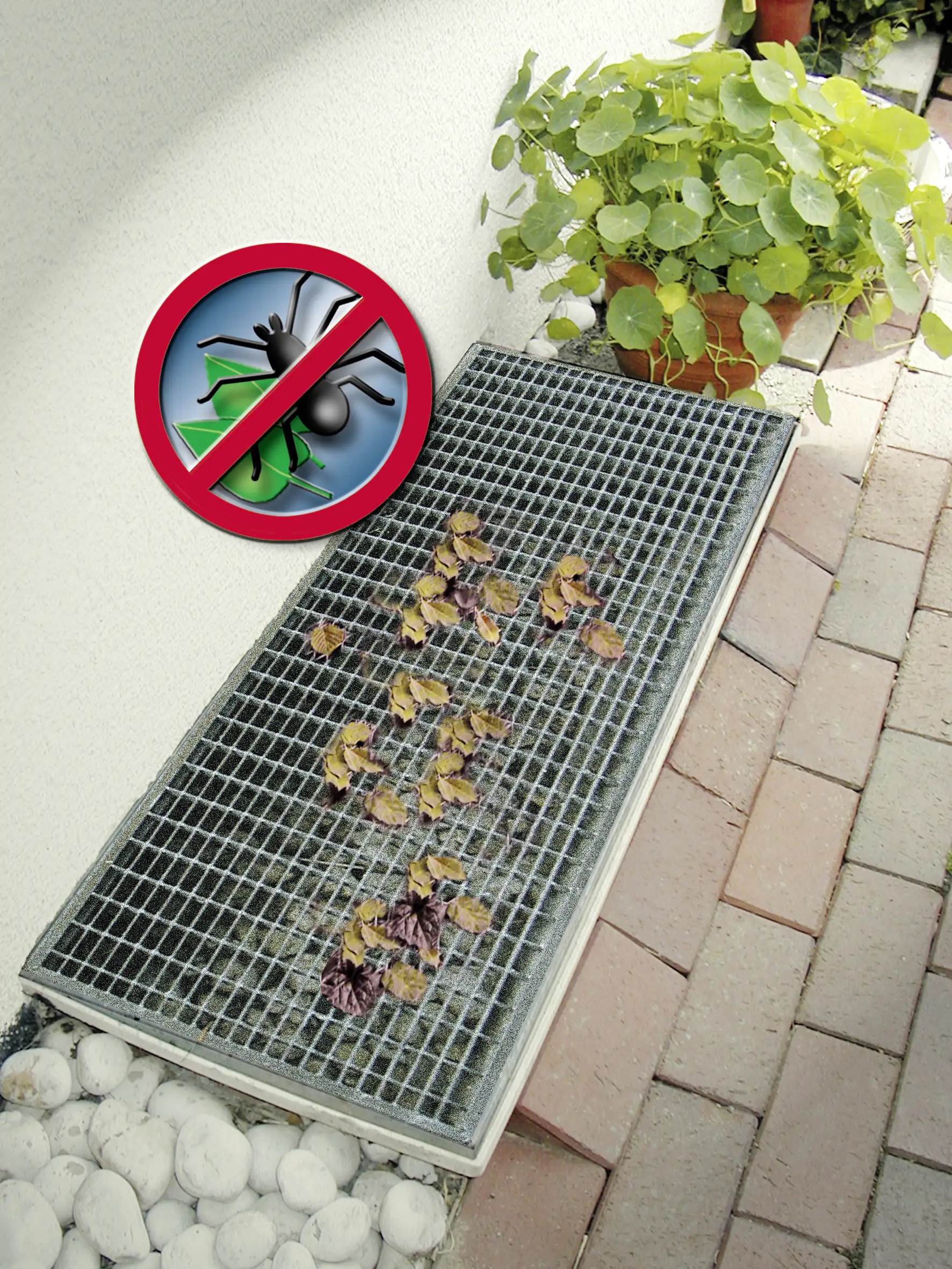 Sauberer Lichtschacht 50x125 cm 50x125 cm