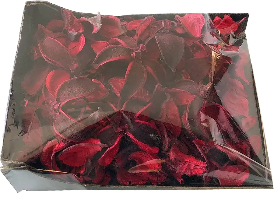 Star Home Decor Baumwollköpfe rotDekomix 20 x 15 x 4,5 cm