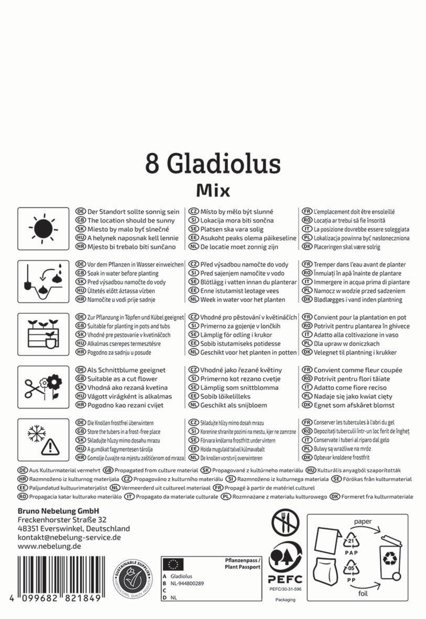 Kiepenkerl Frühjahrsblumenzwiebel Großblumige Gladiole Holländische Mischung 8 Stück