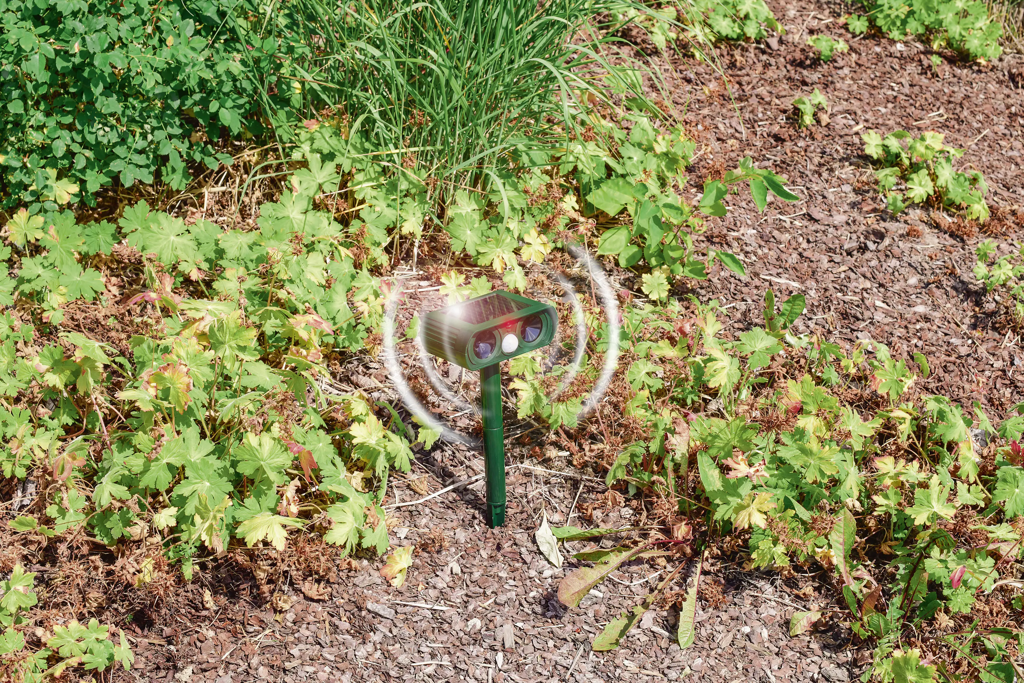 Gardigo Solar Tier Abwehr Dual Unsichtbarer Zaun mit Ultraschall