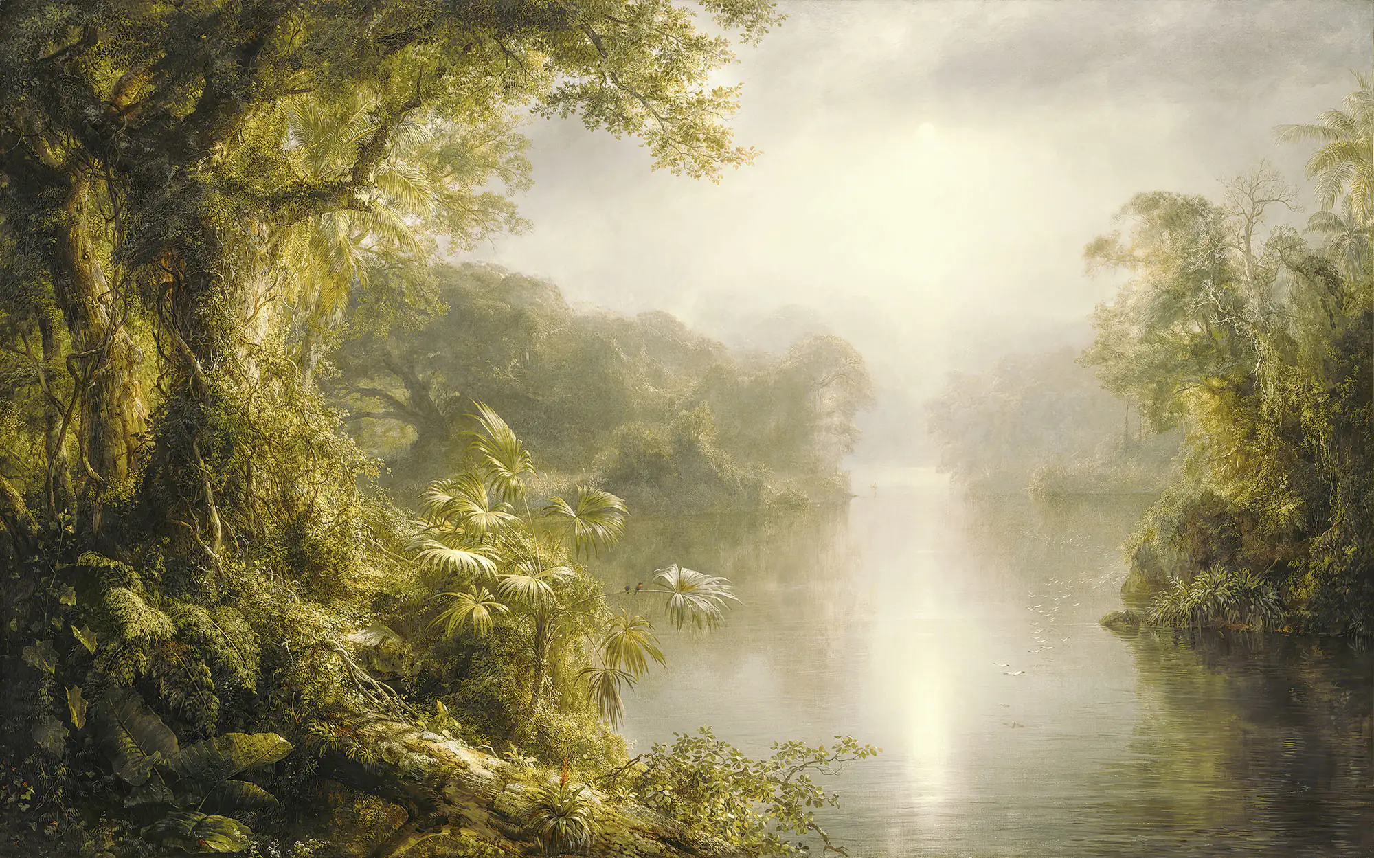 Komar Vlies Fototapete Rio de Luz 400 x 250 cm 