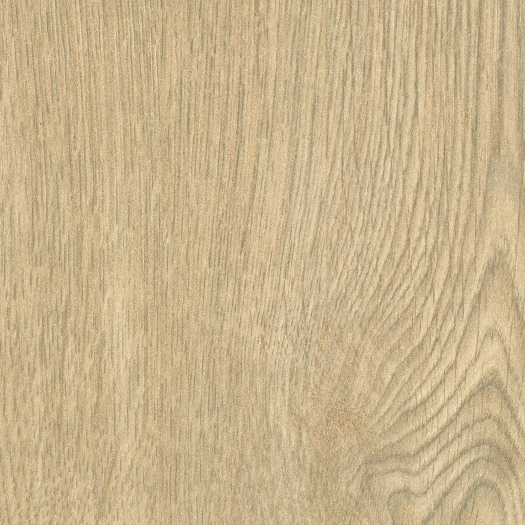 Neuhofer Fußleiste 240 cm 58 x 19 mm Traubeneiche Neuhofer Fußleiste 240 cm 58 x 19 mm Traubeneiche