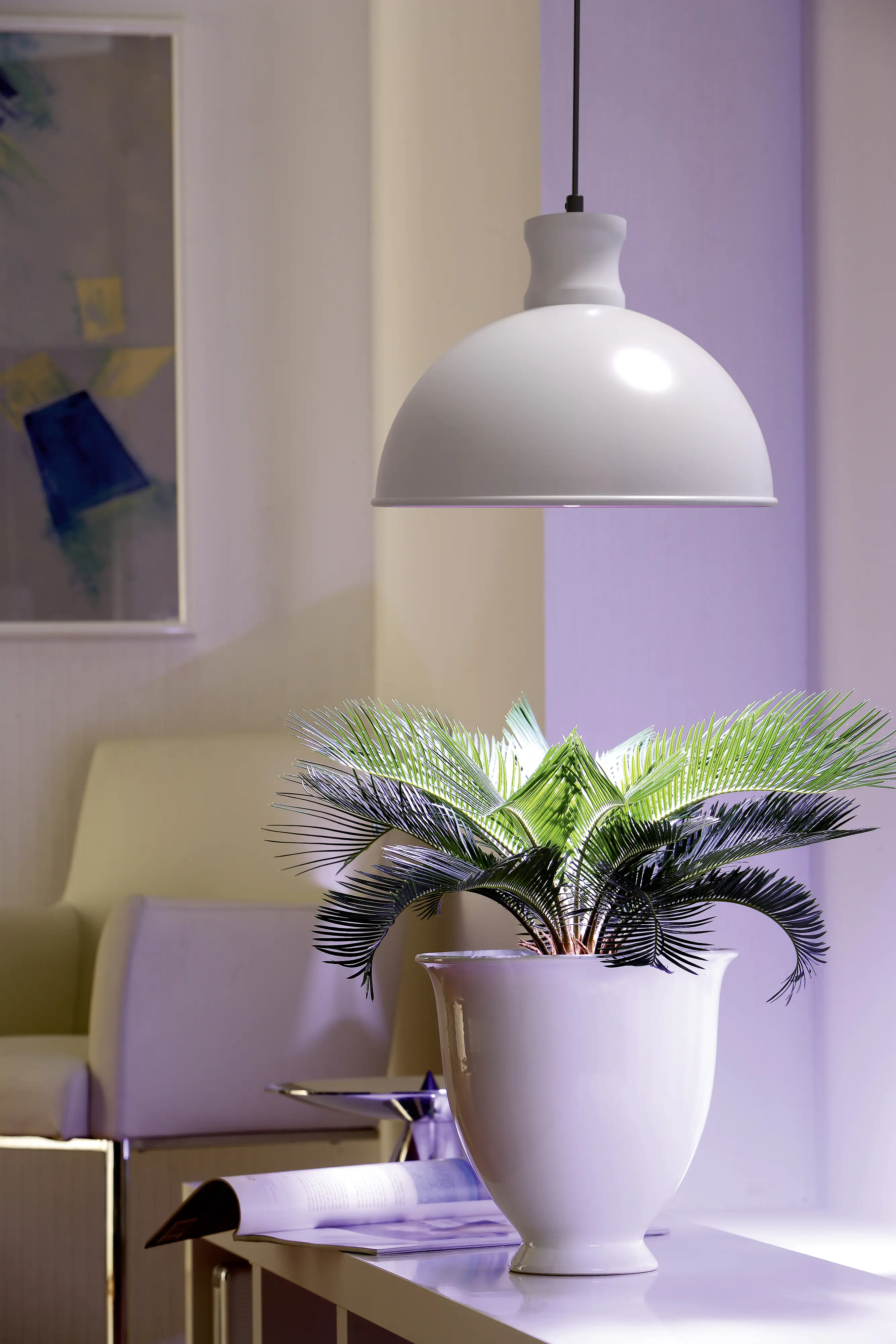 Bio Green Pflanzenleuchte Florabooster 500 W 6,5 W weiß