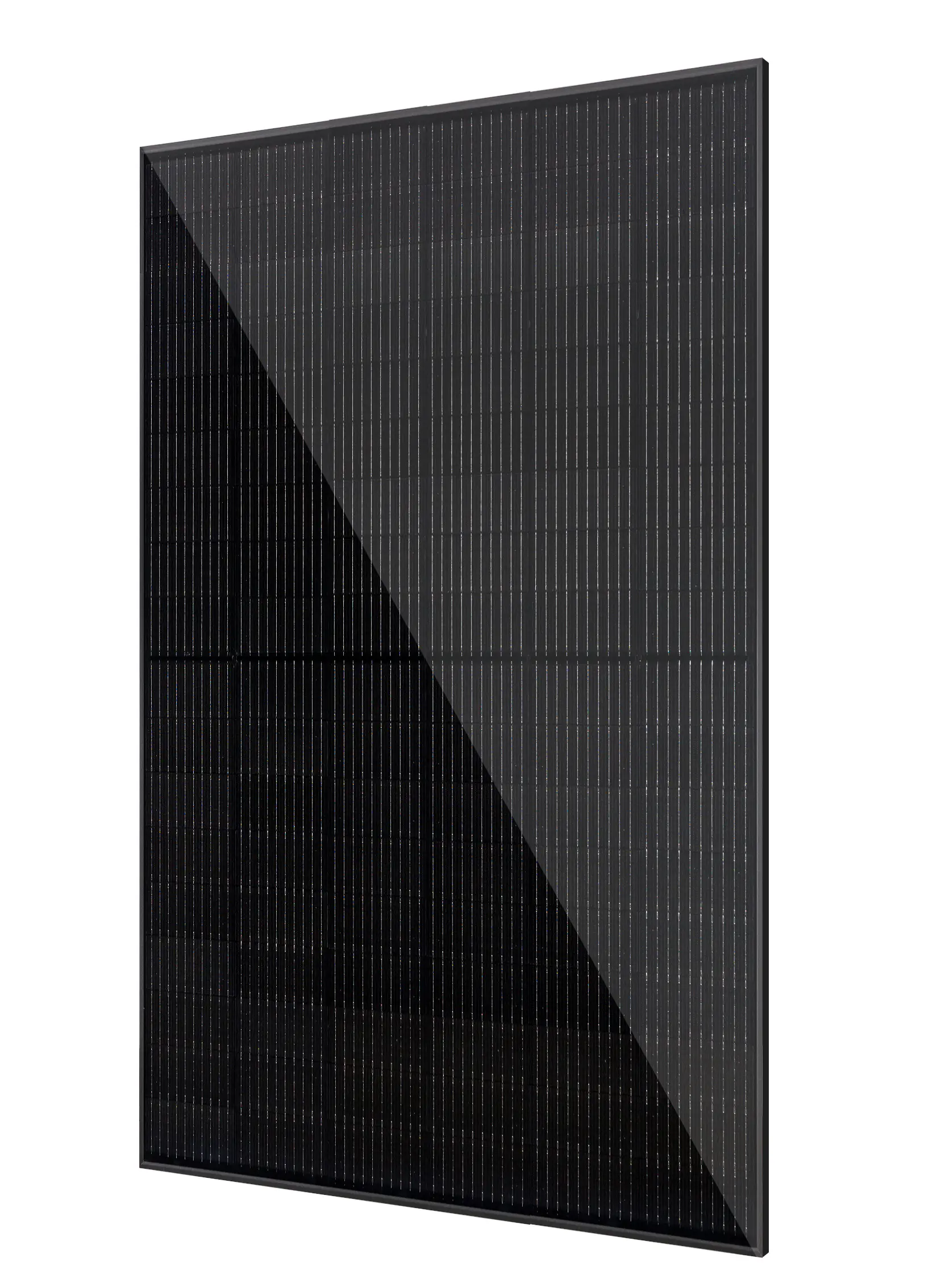 Vale Balkonkraftwerk 900 WP 2x440WP bifazial 800 W Marstek Wechselrichter