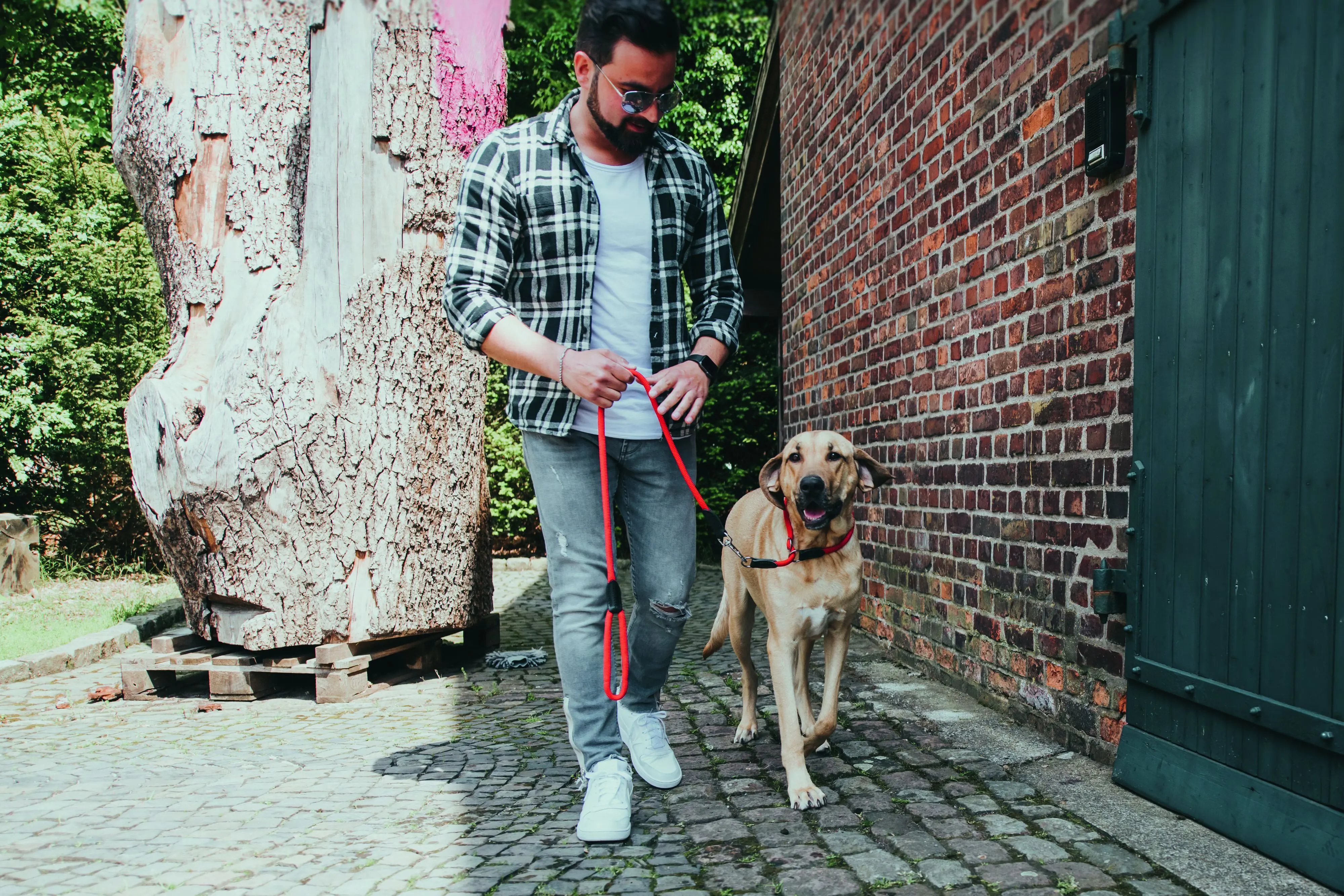 Hunter Hundehalsband Freestyle L rot