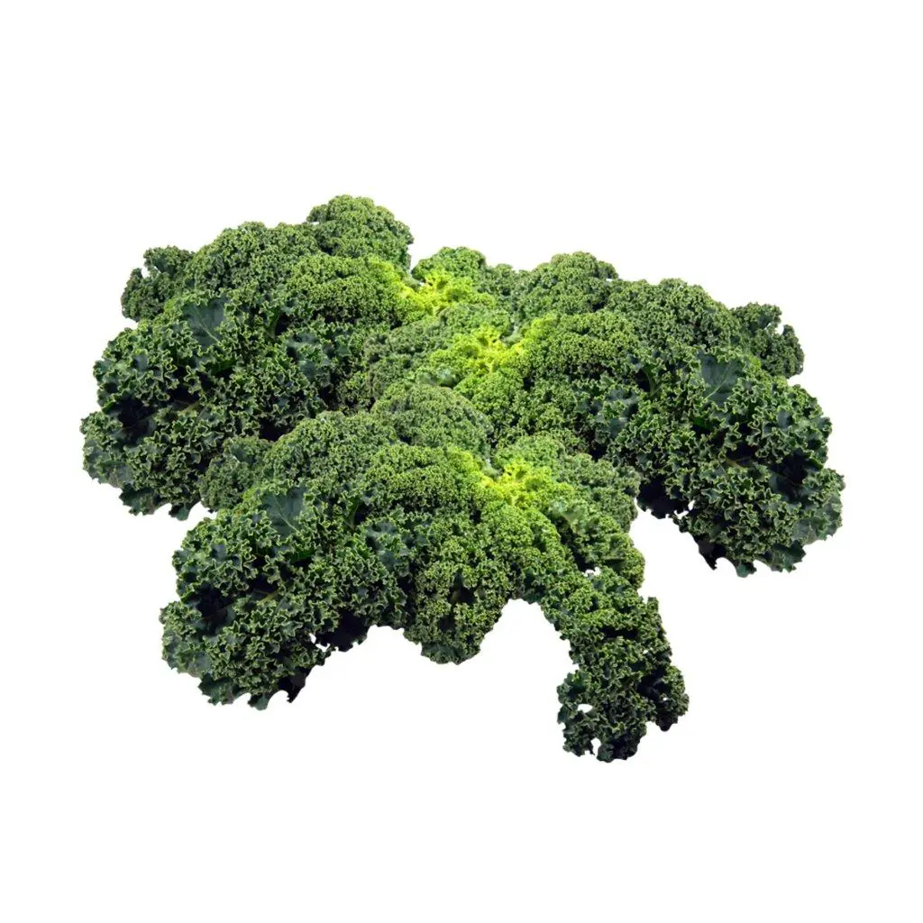 Kohlgemüse"Le Jardin Gourmand" Grünkohl 6er Schale