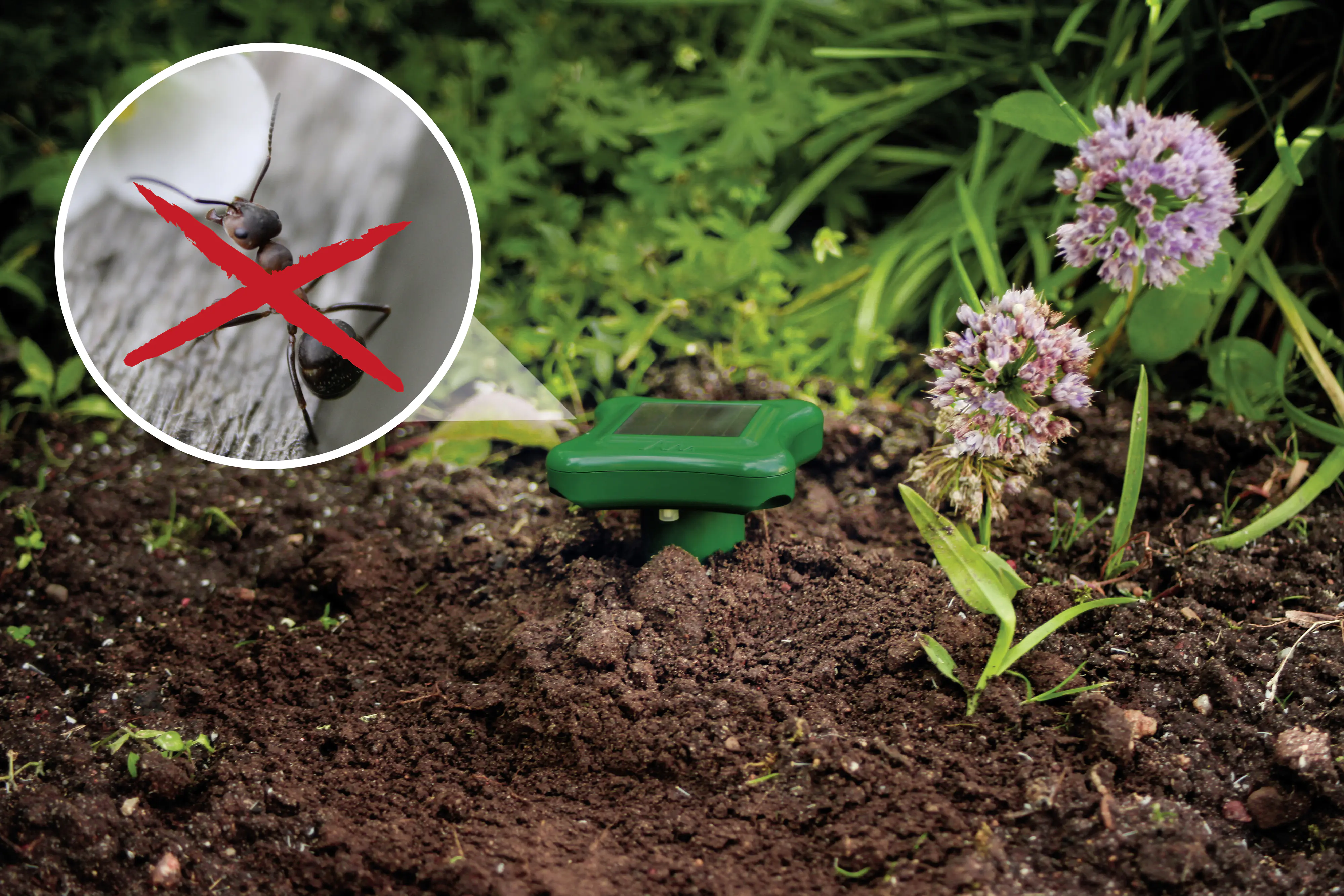 Gardigo Solar Ameisen Abwehr-