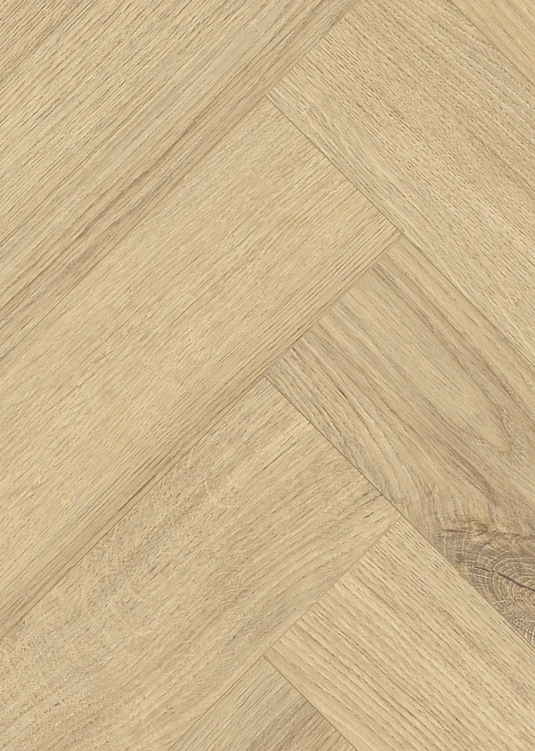 Classen Laminat Fischgrät Ville Cetina Oak