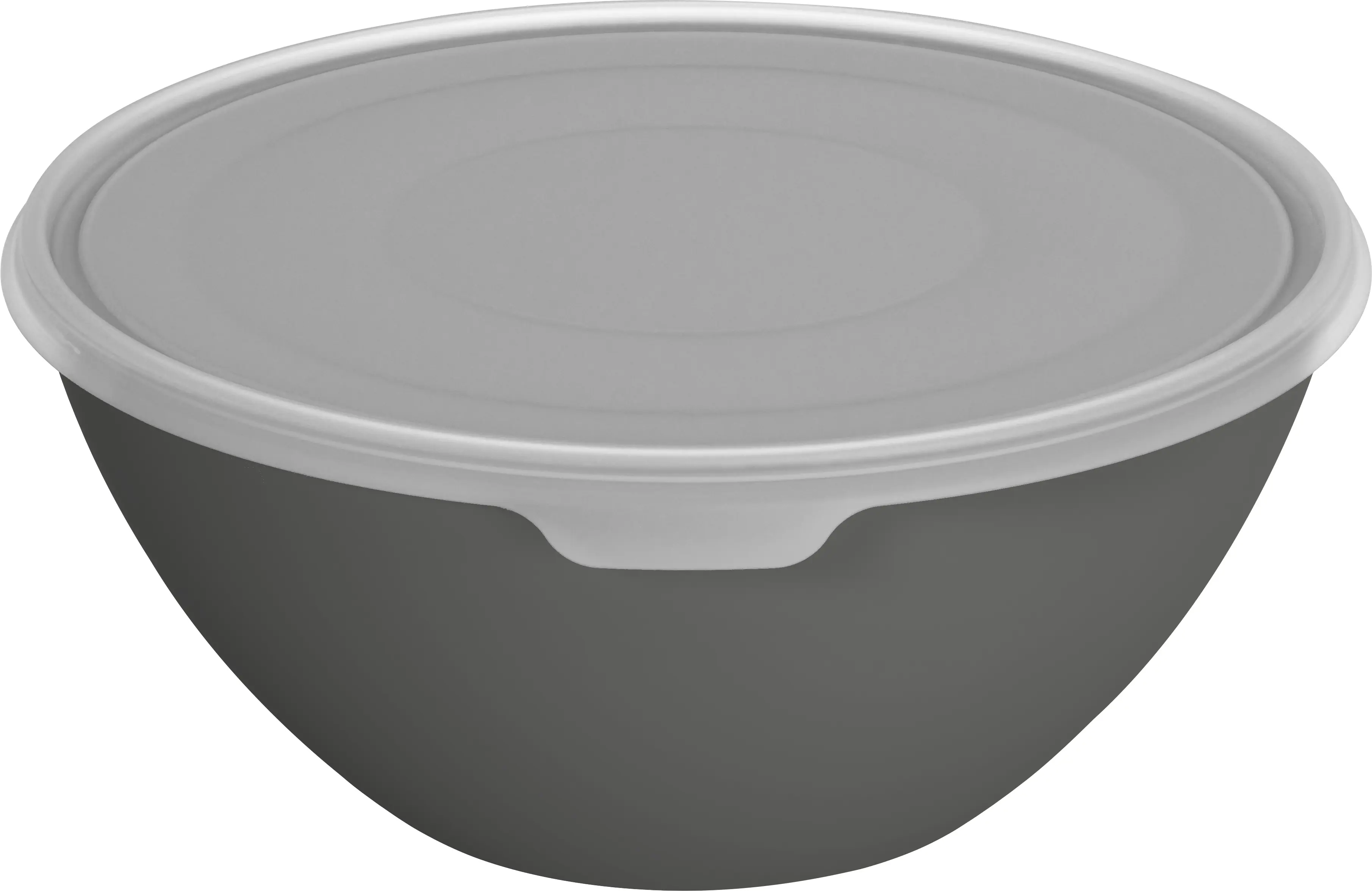Rotho Schüssel + Deckel Caruba 8 L schwarz