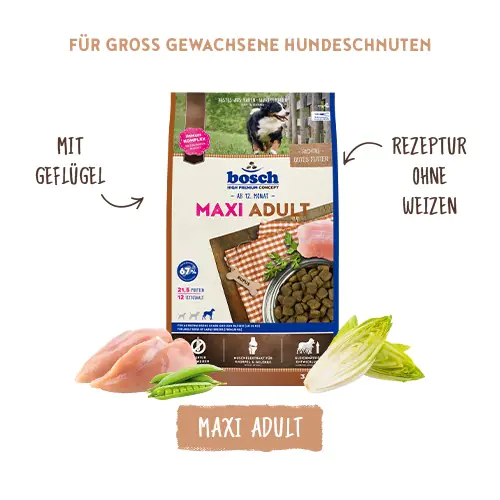 Bosch Trockenfutter für große Hunde Adult Maxi 15 kg Bosch Trockenfutter für große Hunde Adult Maxi 15 kg