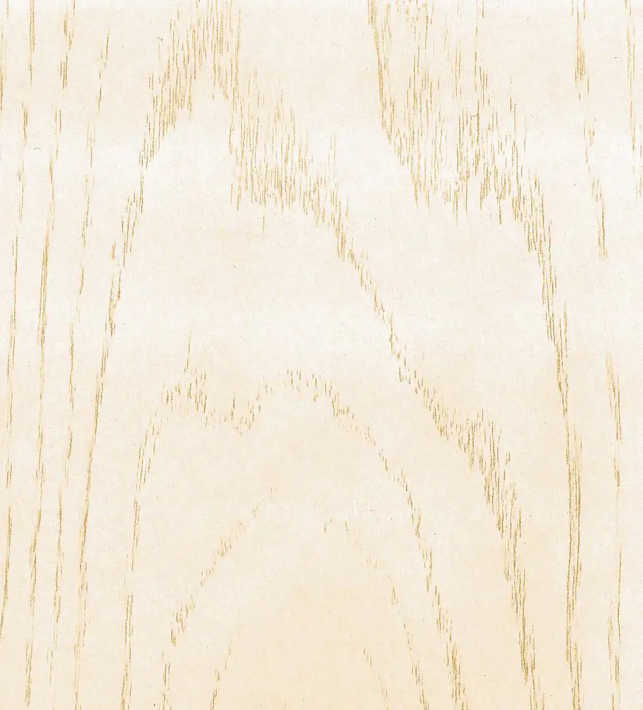 B.S. Bauprogramm Roundlinepaneele 120 x 25 cm, 10 mm, Esche weiß B.S. Bauprogramm Roundlinepaneele 120 x 25 cm, 10 mm, Esche weiß