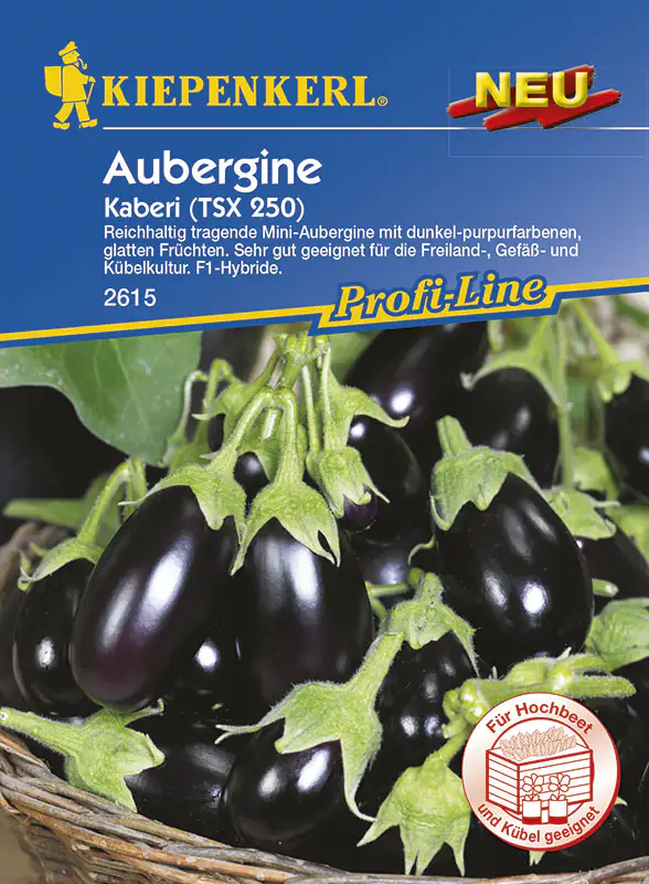 Kiepenkerl Aubergine Kaberi (TSX 250) Solanum melongena, Inhalt: 5 Korn