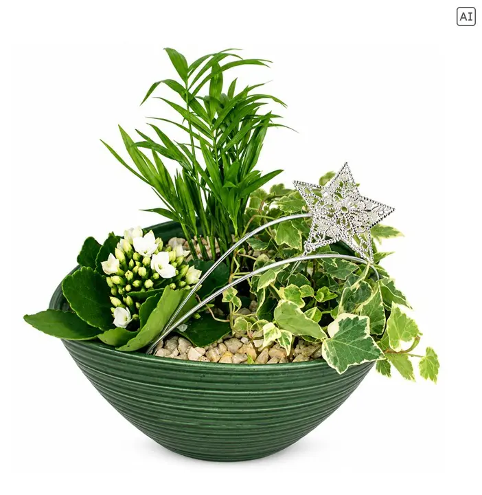 Weihnachtliches Arrangement Schale oval groß bepflanzt