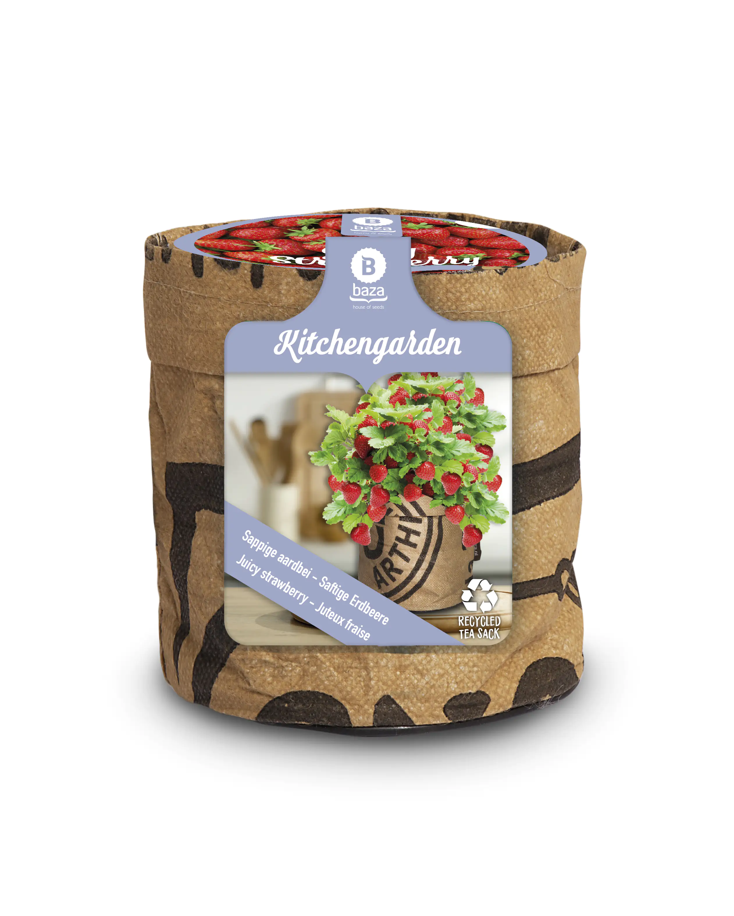 Baza Seeds Kitchengarden saftige Erdbeere Baza Seeds Kitchengarden saftige Erdbeere