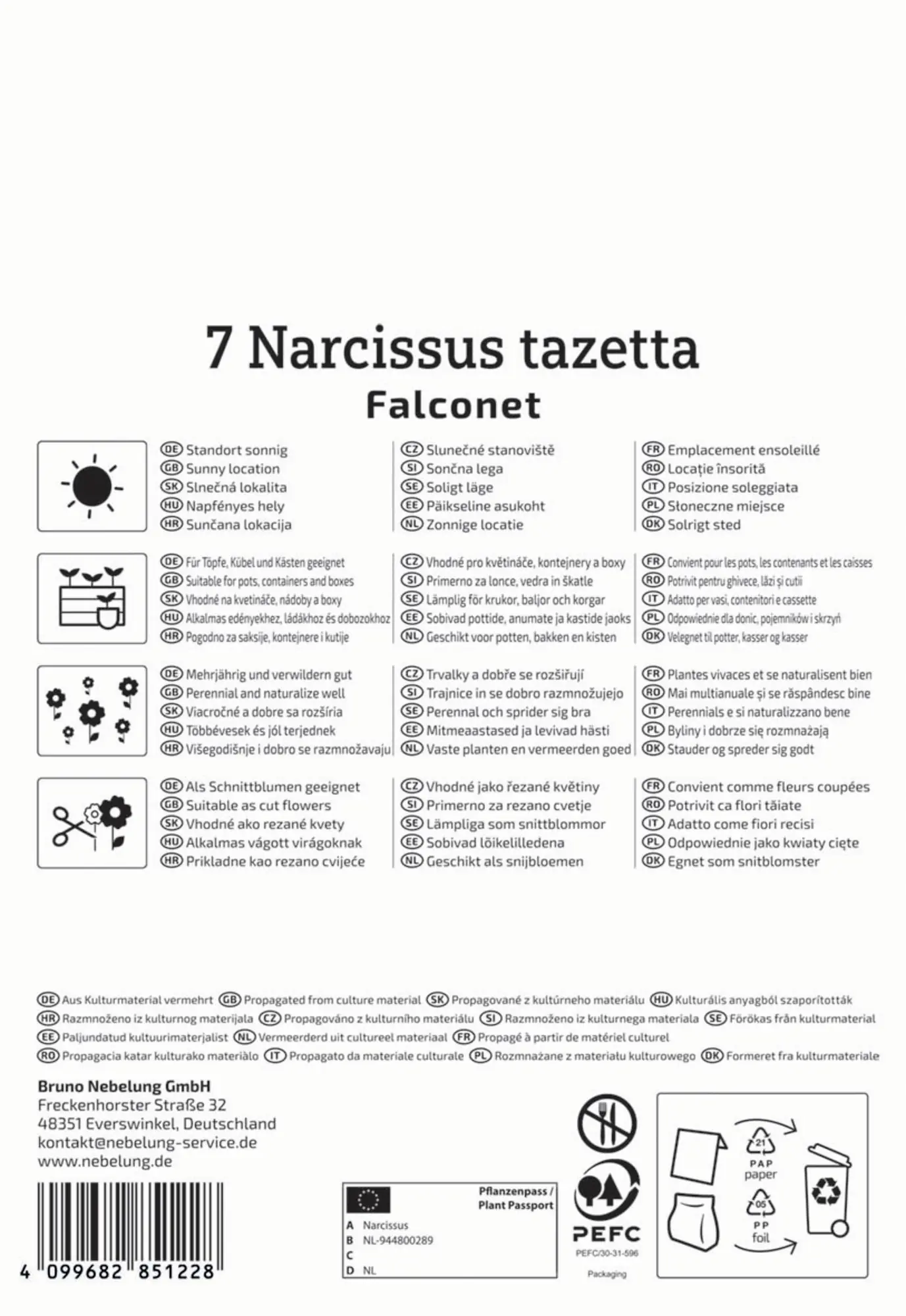 Kiepenkerl Herbstblumenzwiebel Tazetten-Narzisse Falconet 7 Stück