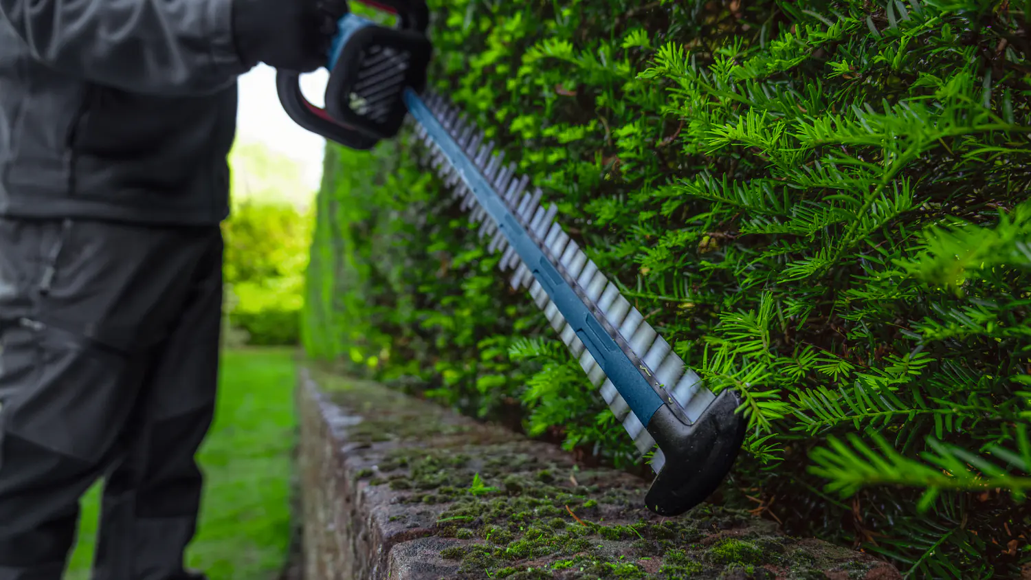 Bosch Professional Akku-Heckenschere GHE 18V-50 (II) Solo