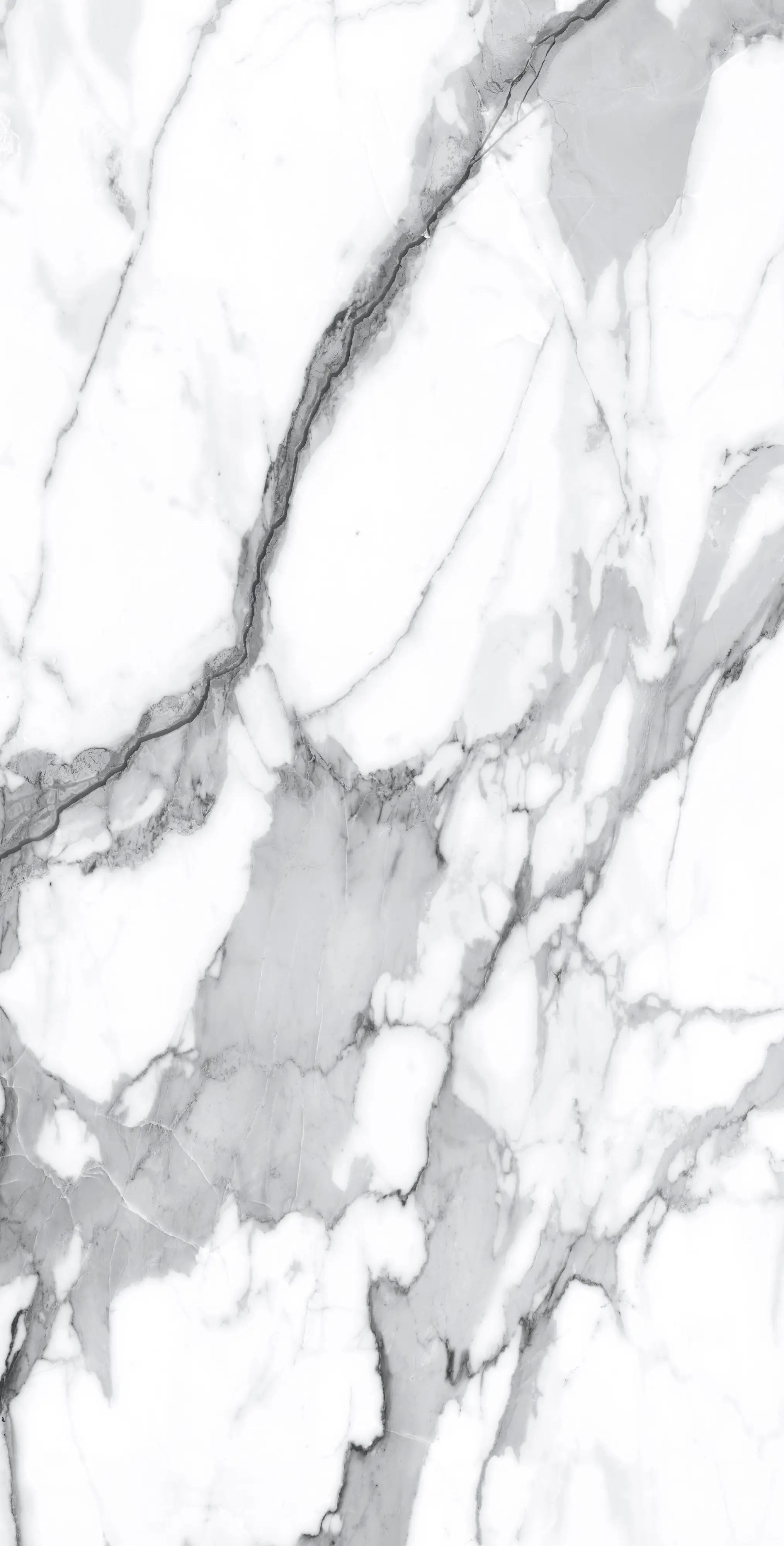 Bodenfliese Feinsteinzeug Visage Grey Plus 60 x 120 cm weiß