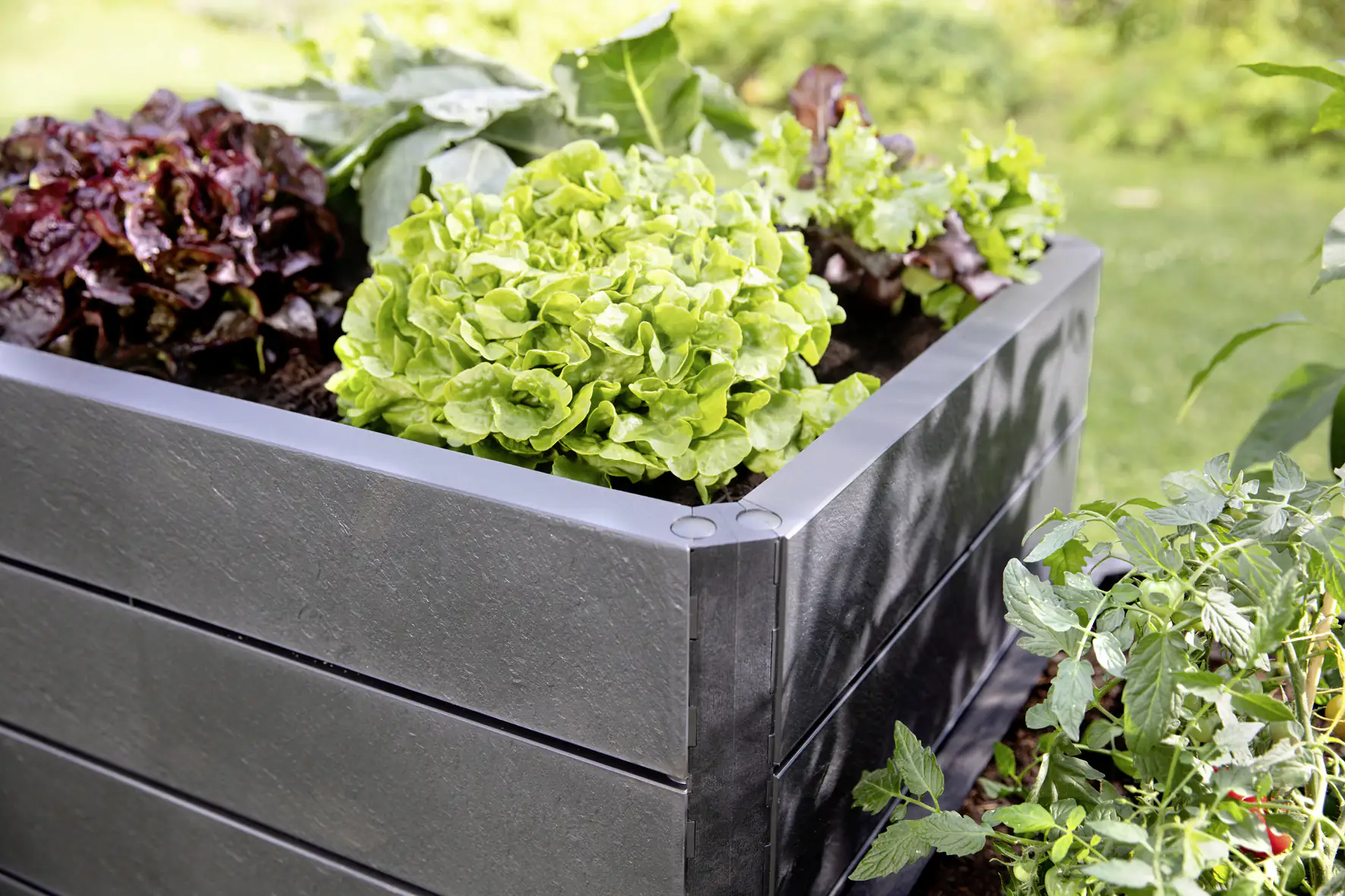 Garantia Hochbeet Ergo Quadro S 60 x 60 x 25 cm (L x B x H)