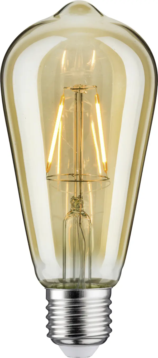 Paulmann LED Filament Rustikal Vintage - 2,5 W E27 Retro-Kolben warmweiß