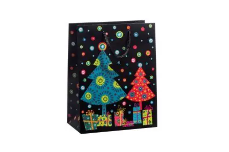 Duni Geschenktüte Magic Weihnachten mehrfarbig 17,8 x 22,9 cm 